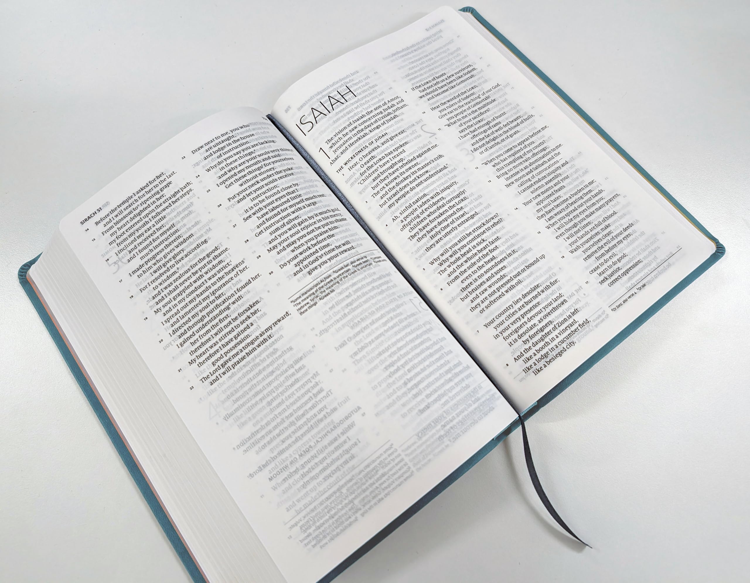 ESV-CE Catholic Bible, Sky Blue Flexiback, Debossed Dove, British Liturgical Bible, ESV-CE, Flexiback, Standard size: Anglicized English Standard ... Edition in Soft-tone Flexiback Binding