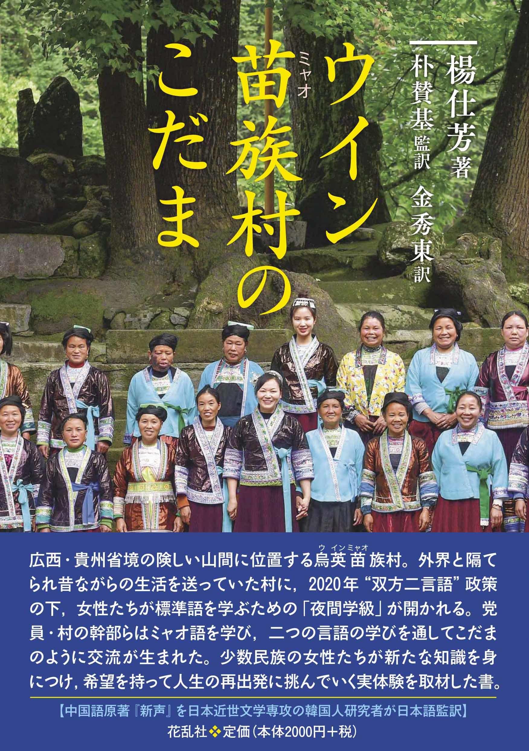 【 中国満州山岳民族（苗族） 子供の背負い布一部（アンティーク） 】 中国満州山岳民族（苗族） 子供の背負い布一部（アンティーク