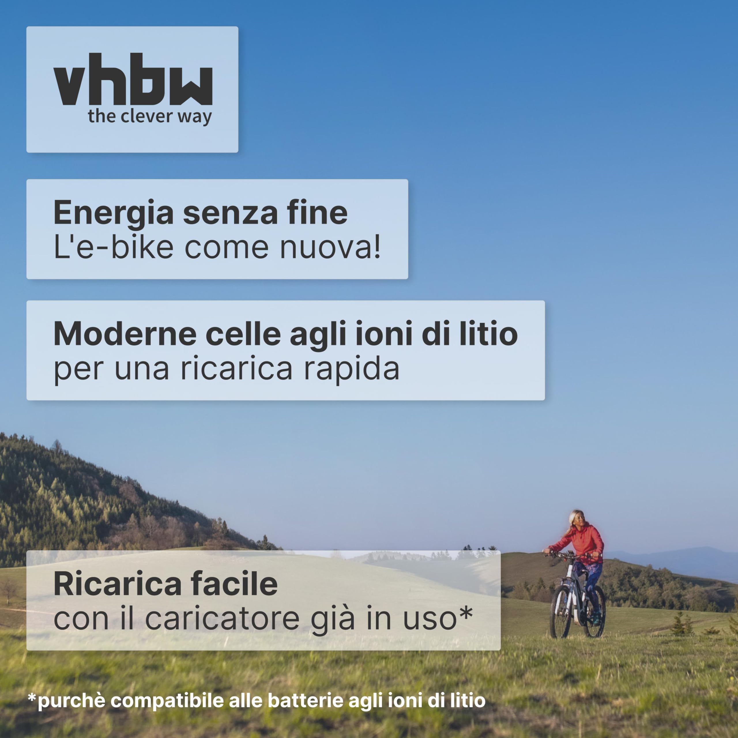 vhbw batteria compatibile con Kalkhoff Pro Connect S 27, S 11 bici elettrica (15,6Ah, 25,2V, Li-Ion) - argento