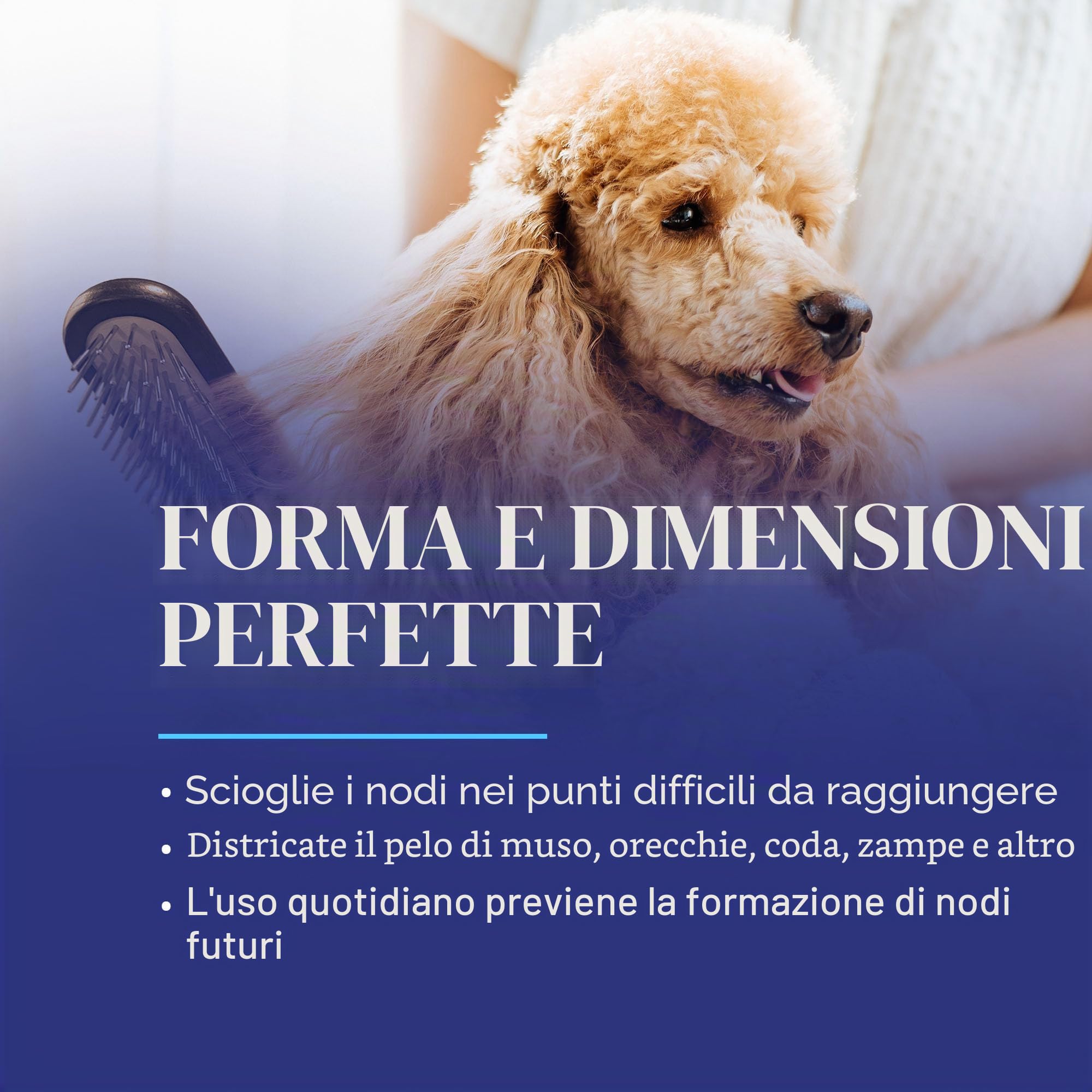 Chris Christensen Spazzola per cani da 20 mm, spazzola per cani, spazzola speciale per lo sposo come un professionista, rimuove tappetini e grovigli, perni arrotondati e con messa a terra, non tira il