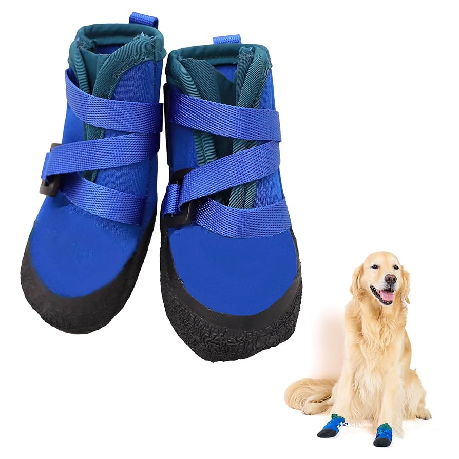 ドッグズライフ 2025.07.18 渋谷 Spotify O-EAST 『RACCOON DOG TOUR Final