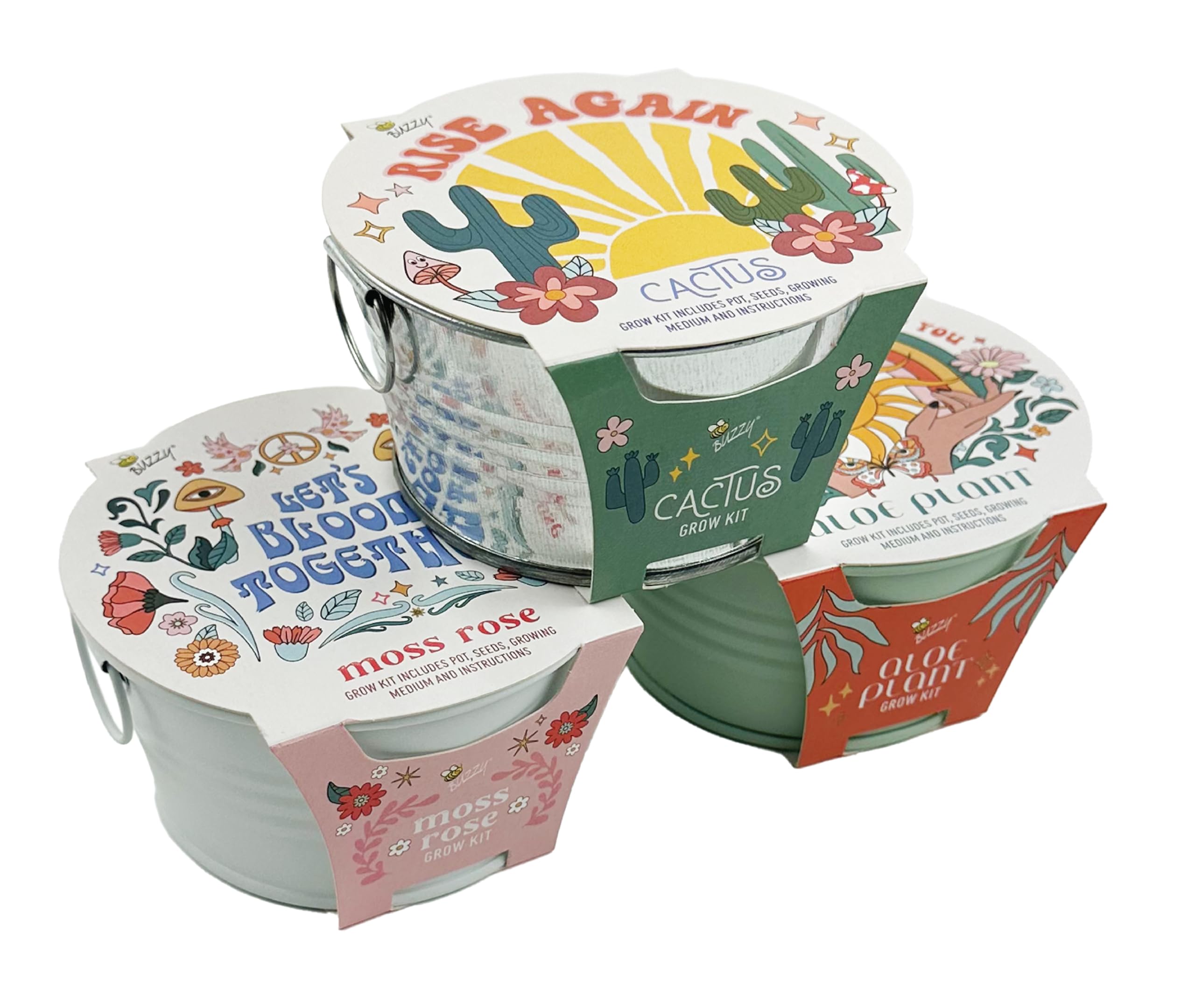 Amazon.com : Buzzy Seeds Cactus, Moss Rose, Aloe Mini Basin Grow Kit Trio,  3pk, Indoor Gardening Starter Pots : Patio, Lawn & Garden