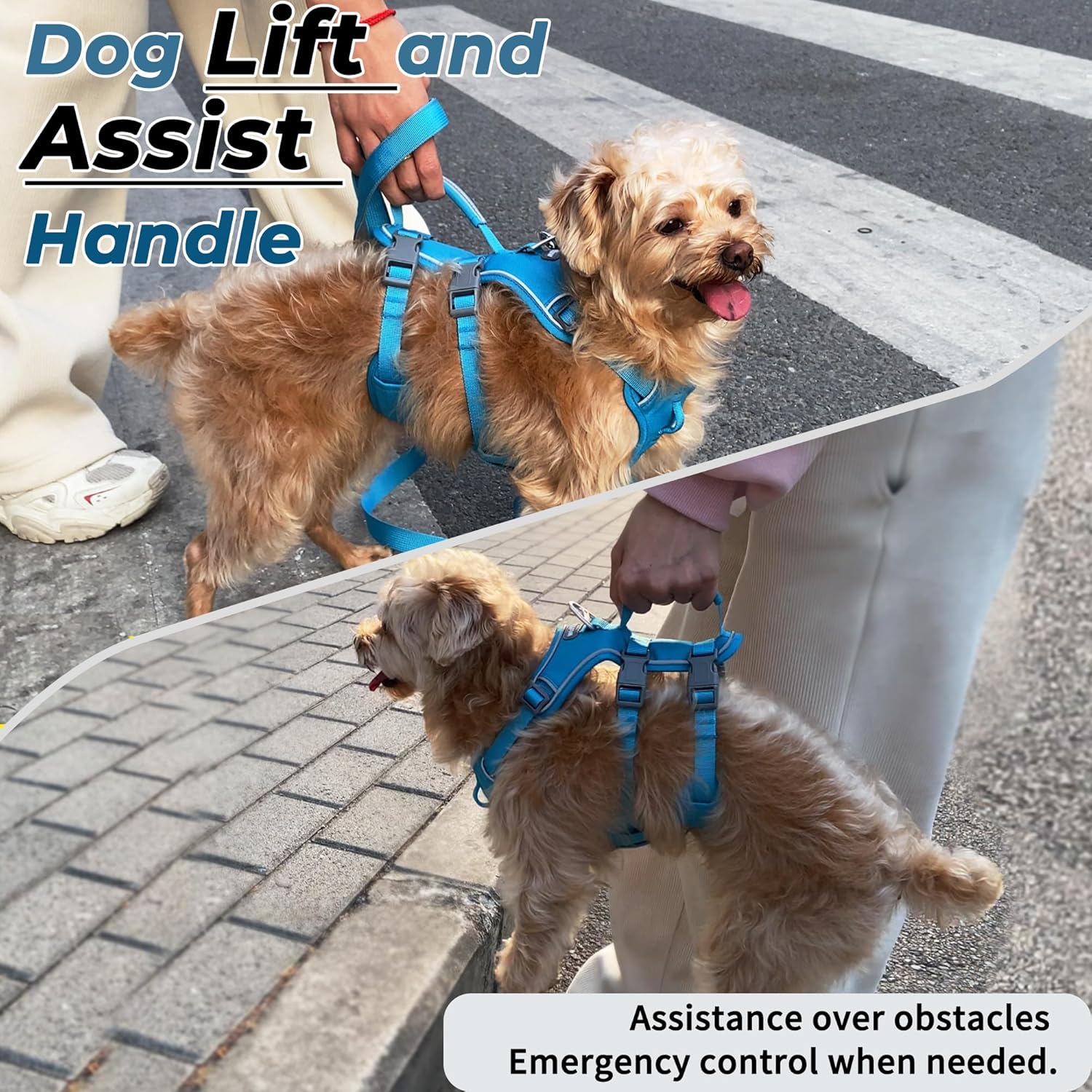 Wuffley Escape Proof Dog Harness and Leash Set, Lightweight Dog Harness with Lift and Assist Handle, No Pull Reflective Pet Vest for Small Medium Dogs, Ideal for Puppy Walking and Training (Blue, M) 5 81WviV+IihL. AC SL1500