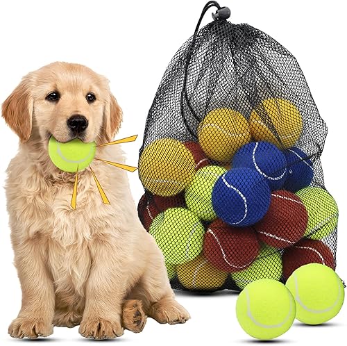 Magicorange Pelotas de tenis para perros, paquete de 20 pelotas de tenis flotantes de 2.5 pulgadas para ejercicio de búsqueda, pelotas chirriantes