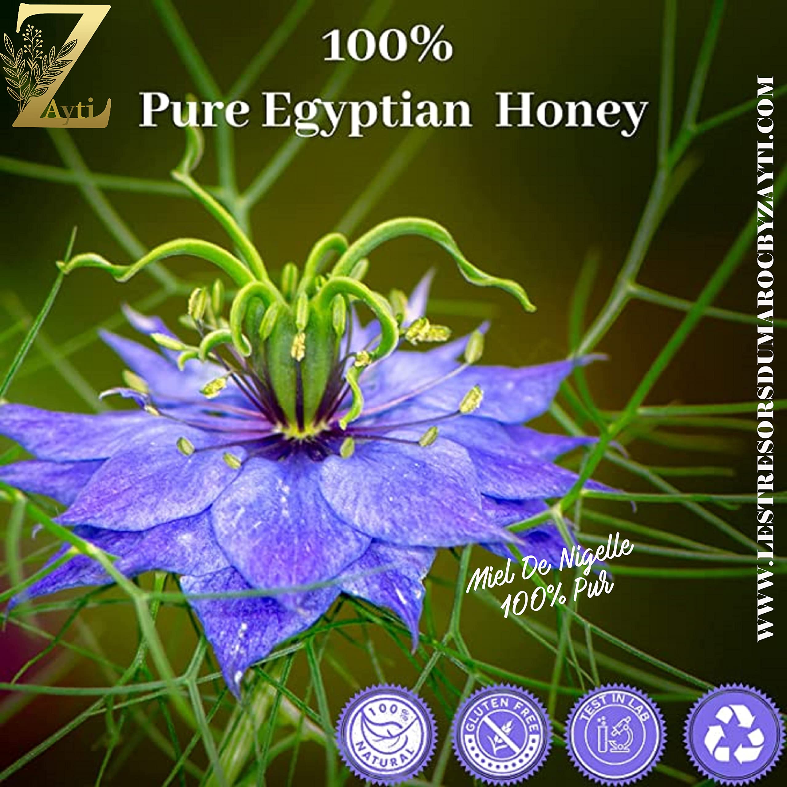 Miel de Nigelle d’Égypte 300g Produit Brut, 100% Naturel – « Habba Sawda » Miel Monofloral – Renforce & Booste les Défenses Naturelles