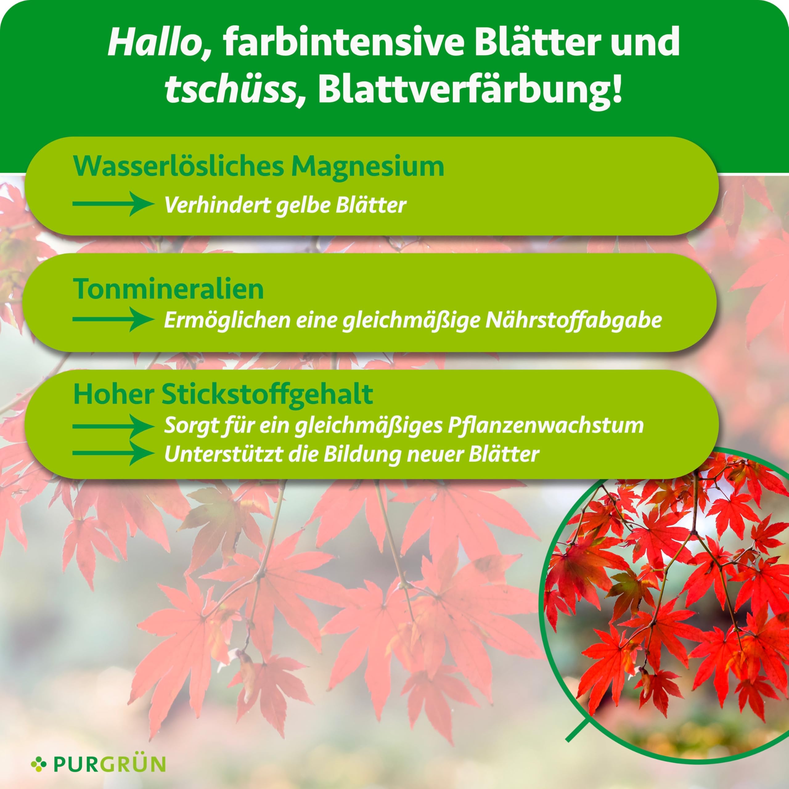 Ahorn-Dünger 1 kg – Organisch-mineralische Rezeptur – Feinkörniges Krümelgranulat – NPK 9+4+8 – Mit Magnesium & Tonmineralien – Extra Kalium für Widerstandsfähigkeit – Für gesunde Ahornbäume