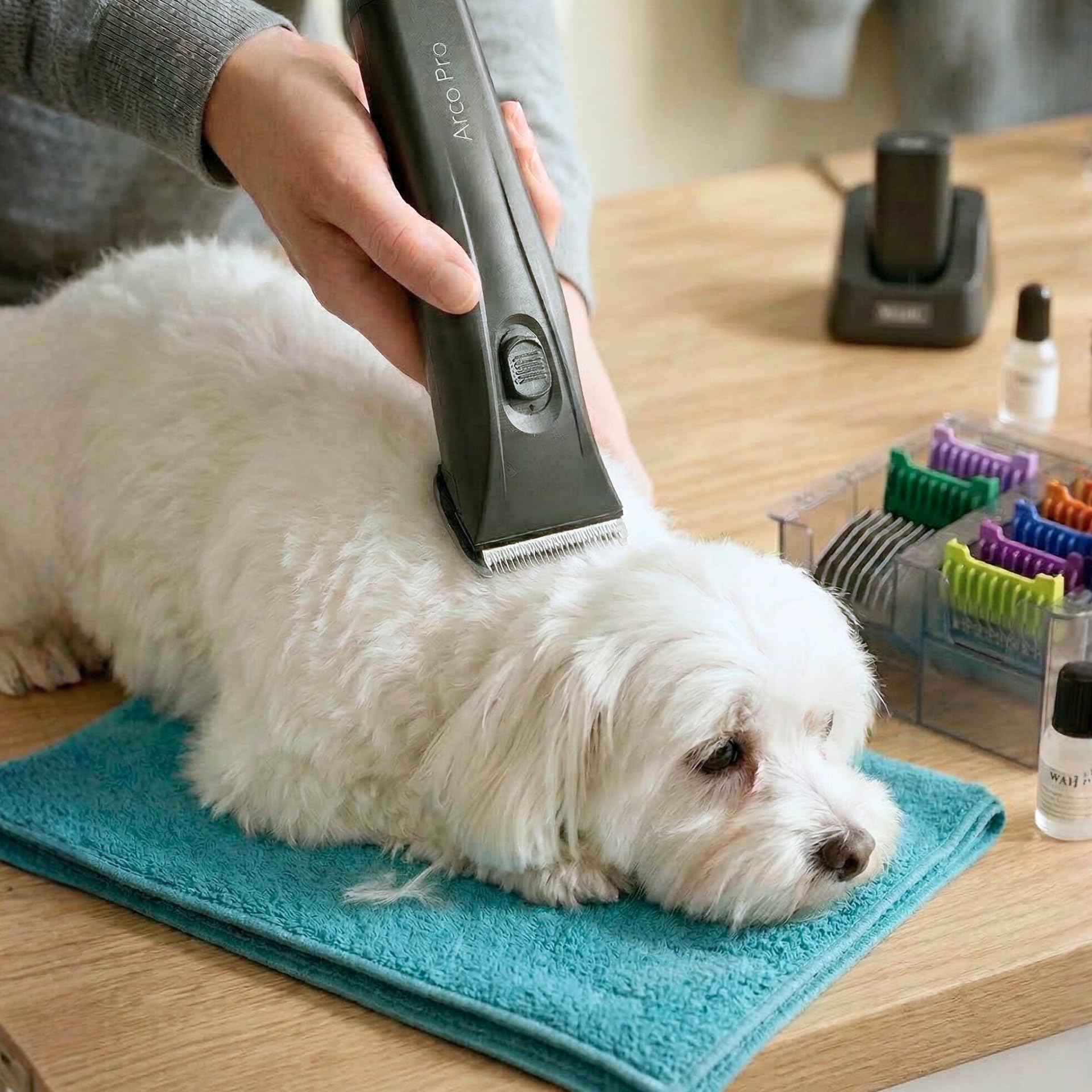 Agrarzone Edition Wahl Moser Arco Pro tosatrice cani e gatti - 2 batterie, Set rialzi, Leggera, Silenziosa, Potente - Made in Germany