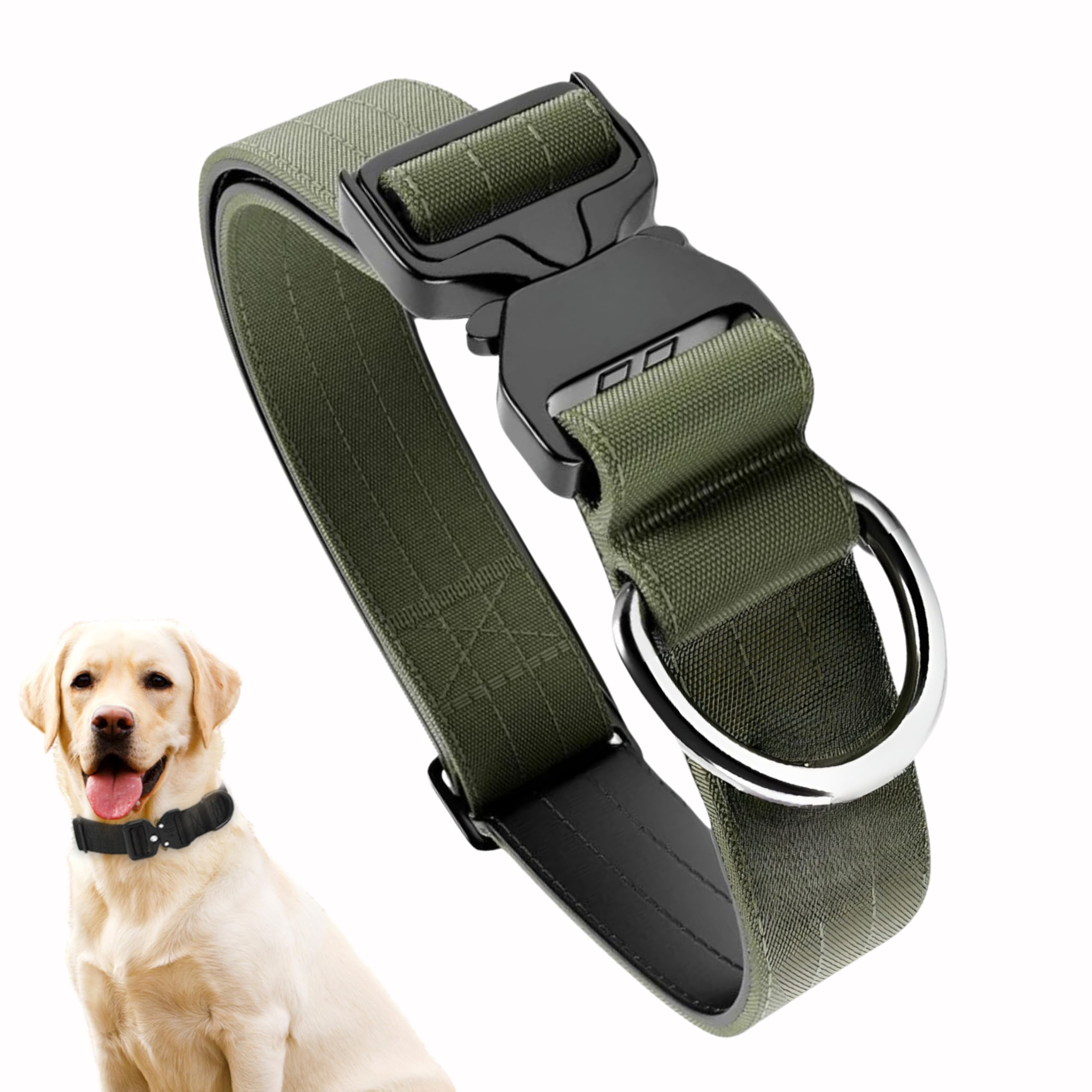 See full amazon price history chart for PET PEPPER Premium Dog Collar-Metal Buckle ||1.5" Wide Strap ||Protects Dog From Choking ||Adjustable Comfortable Dog Belt ||Odourless ||Gentle On Pet Skin (Green, Xl),60 cm,W_4.01 cm PET PEPPER Premium Dog Collar-Metal Buckle ||1.5" Wide Strap ||Protects Dog From Choking ||Adjustable Comfortable Dog Belt ||Odourless ||Gentle On Pet Skin (Green, Xl),60 cm,W_4.01 cm (B0D77KQPLY) Amazon Price History, Amazon Price Tracker