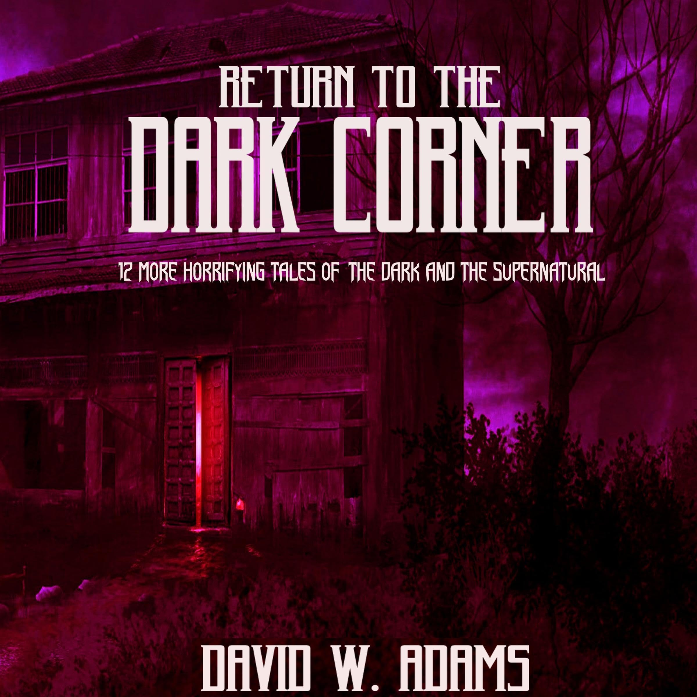 Cover art for Return to the Dark Corner