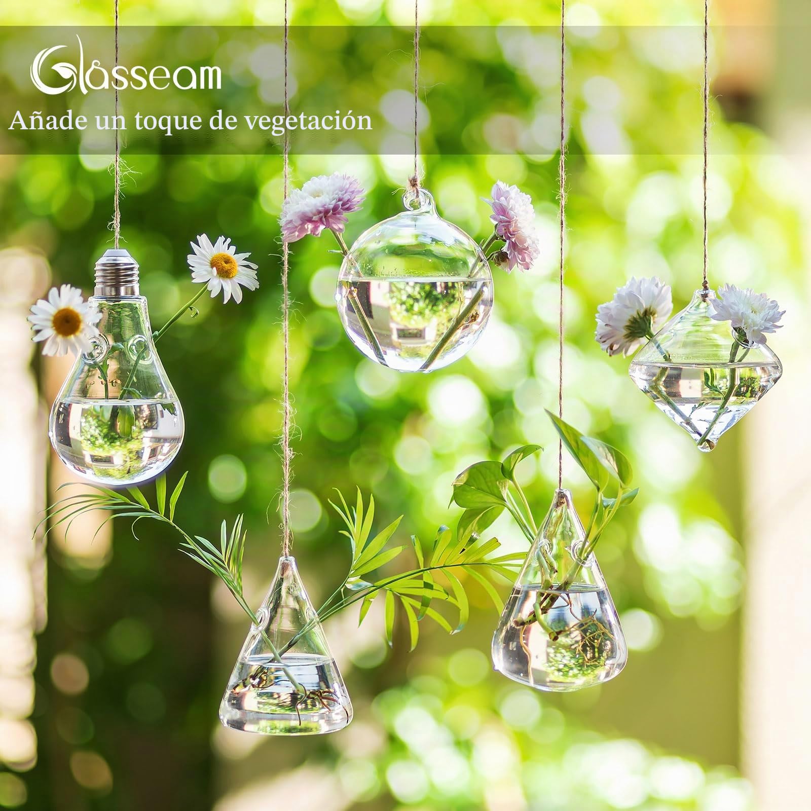 Vidrio Jardineras colgantes Agua Planta de aire suculentos Terrario 5Pcs Set con cuerdas para el jardín del hogar Balcón