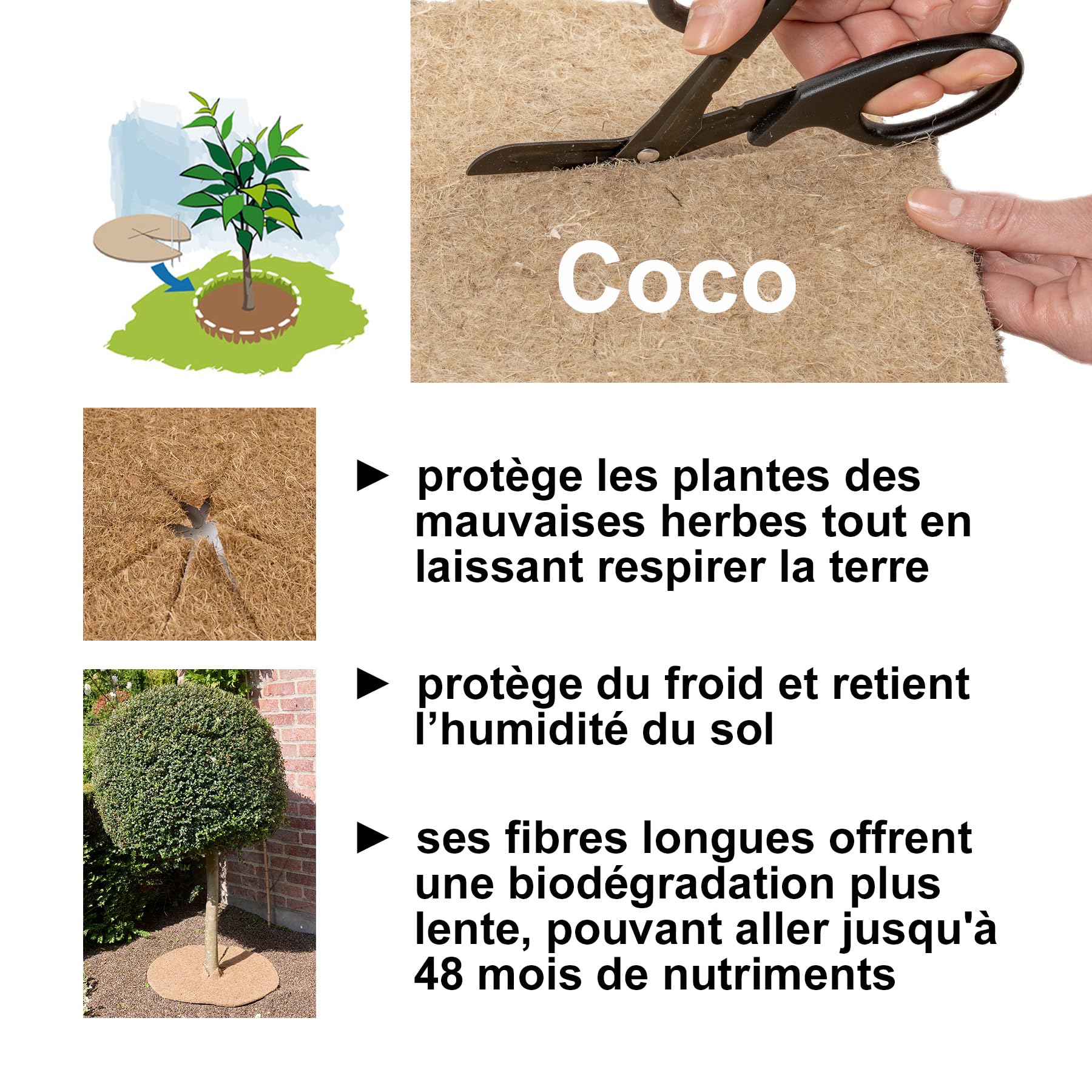 La cordeline 10 Dischi di pacciamatura in Fibra di Cocco Naturale, Ø 30 cm, 900 g/m², Tappetino di Protezione Contro Le Erbacce, Isolamento Termico e Protezione Naturale delle Piante