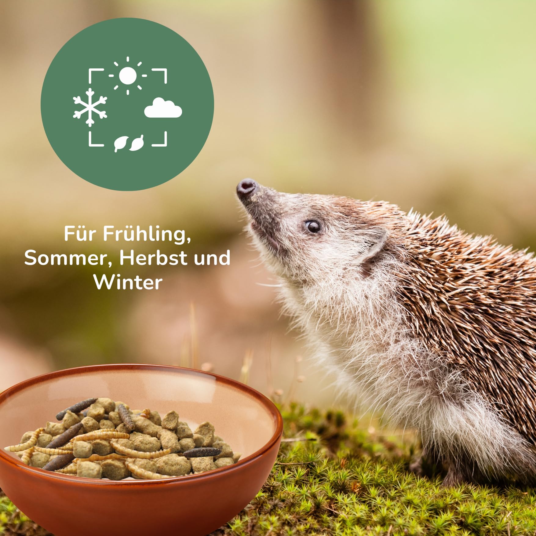 Orni Igelfutter mit Insekten ohne Getreide | 5kg |Alleinfutter für Igel | Artgerecht | getreidefrei | Trockenfutter mit Mehlwürmer Seidenraupen und hohem Fleischanteil