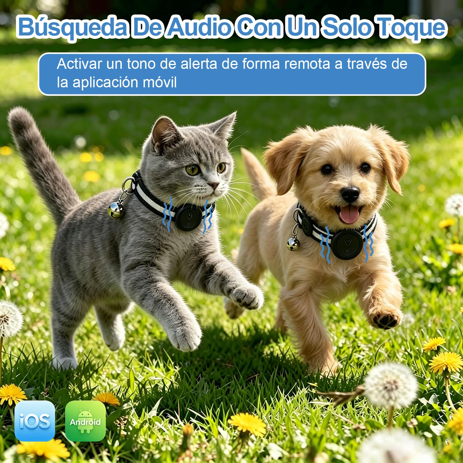 Collar GPS Gatos 2 en 1,Localizador GPS Perros con Seguimiento en Tiempo Real y Funciones Antipérdida,Sin Suscripción,iOS/Android,Collar Ajustable con Cascabel,Apto para Perros Pequeños y Gatos-Negro