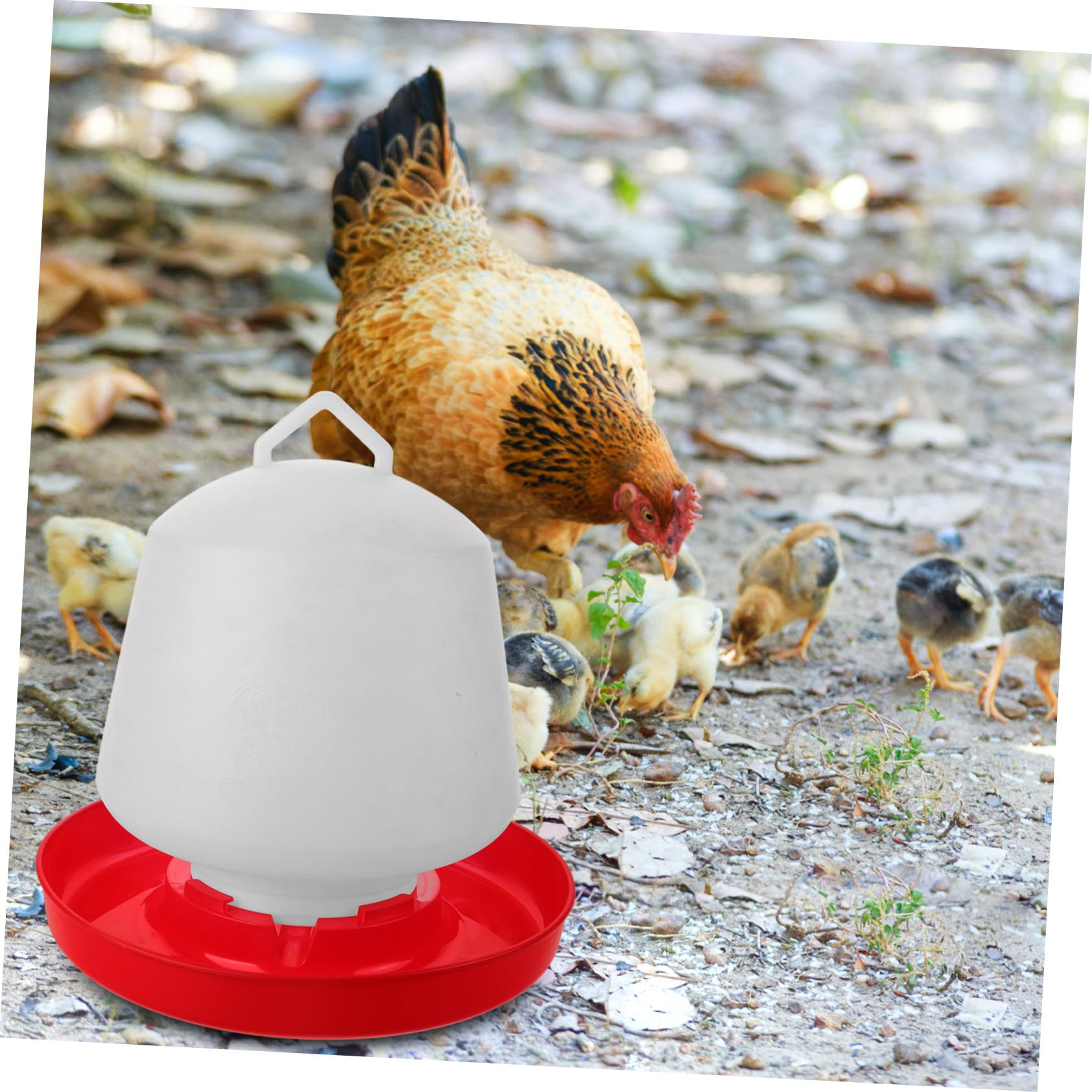 POPETPOP Mangiatoia per Pollame Portatile in Resistente Facile da Pulire e Installare Contenitore Stabile per Alimenti per Galline e Pulcini Protezione Anti-sporco per Uso Domestico e