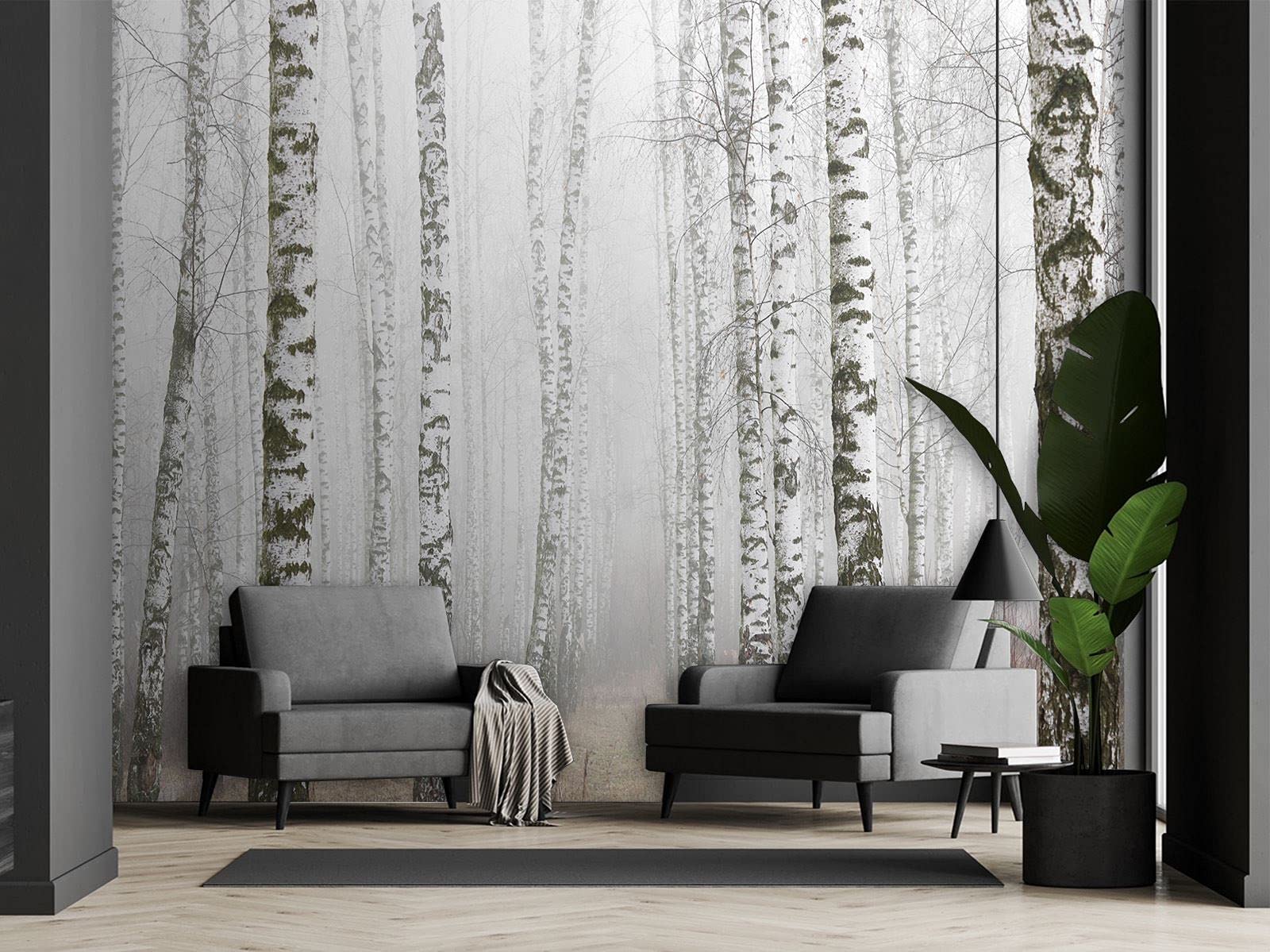 Feeby Papel Pintado Bosque Árboles 350x245 cm Gris Fotomurales Decoración De Paredes Moderna Casa Oficina Despacho Cuarto De Invitados Naturaleza Abedules Niebla