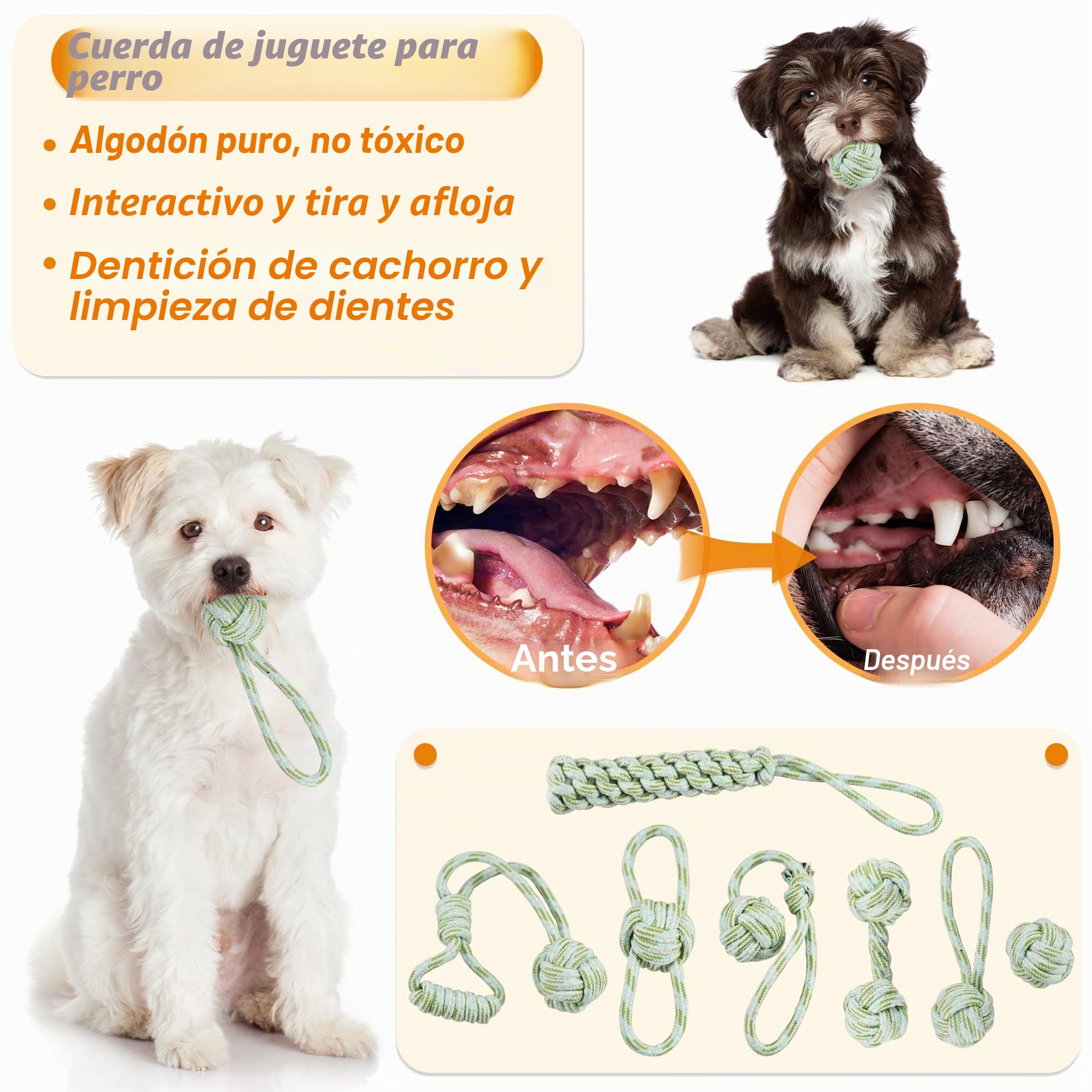 Juego de 24 juguetes para cachorros, juguete masticable para cachorros con caja de almacenamiento, juguete masticable para perros y juguete chirriante para perros los perros pequeños y medianos