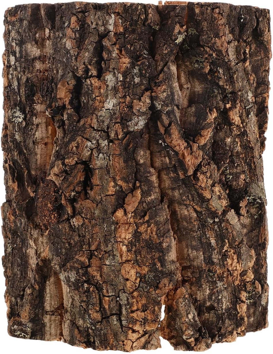 DECHOUS Natural Rounds Cork Bark for Reptiles 6x5 Inch Reptile Hideout Tree Bark Terrarium Tank Decor for Gecko Bearded Dragon Snake Climbing, Amphibian Habitat