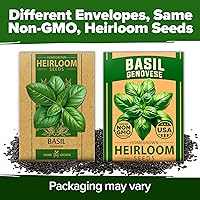 Vista 8 de HOME GROWN Semillas de albahaca genovesa, paquete de 2 – 3500 semillas de albahaca sin OMG para plantar (Ocimum basilicum) – Semillas de hierbas