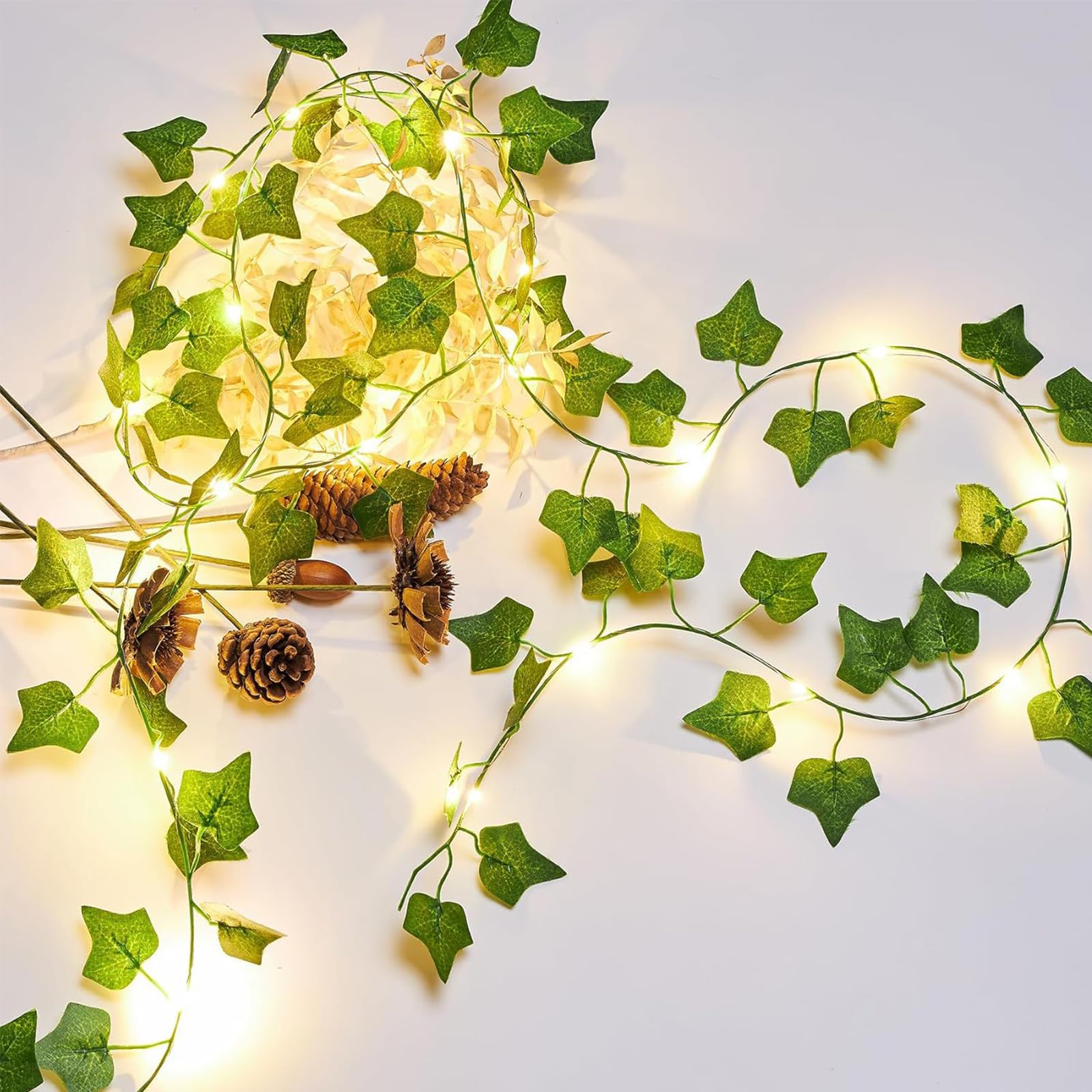 glückskastanie schlafzimmer Glückskastanie (Pachira Aquatica) 160 cm kaufen – Große Zimmerpflanze –  PlantmyHome main image 1