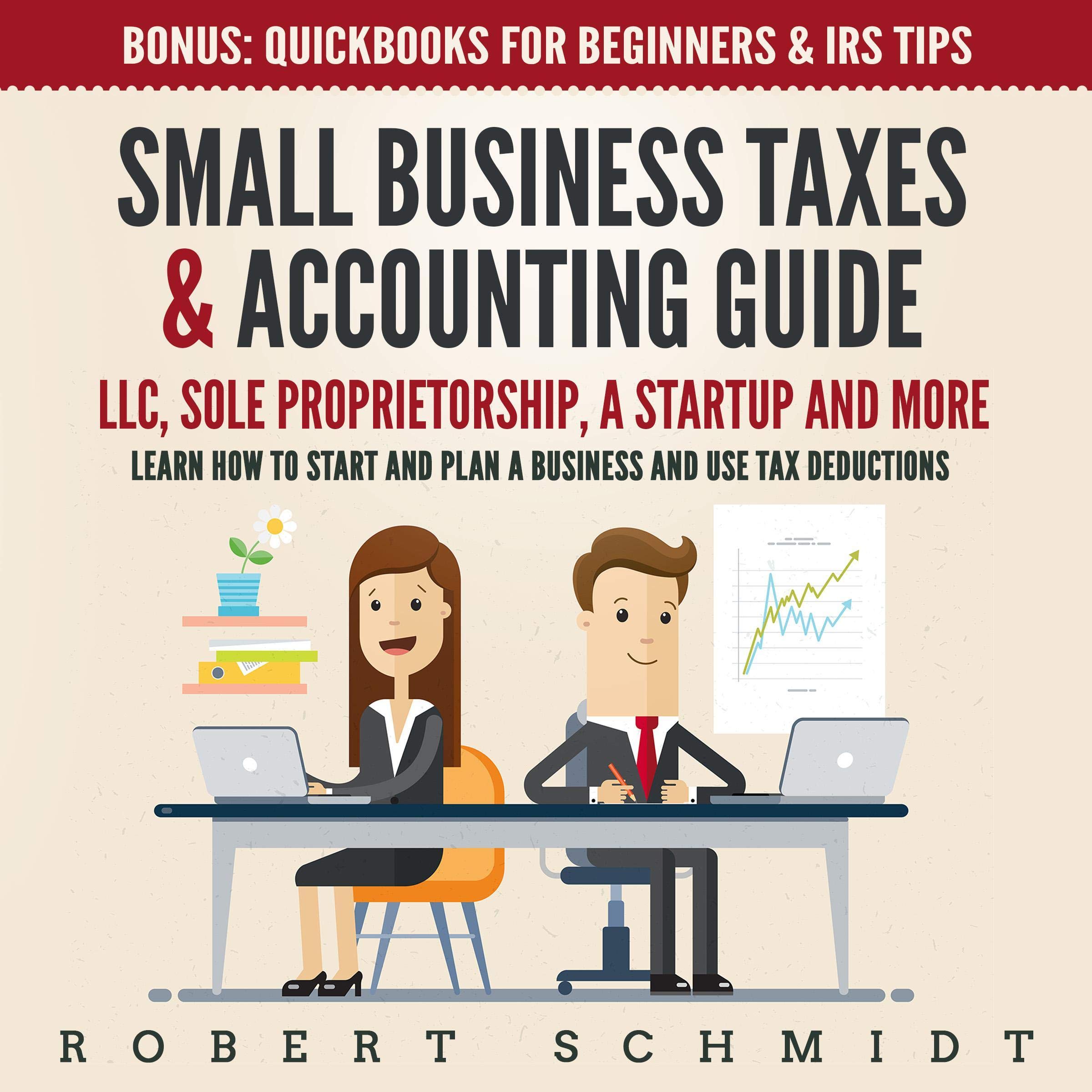 Cover art for Small Business Taxes & Accounting Guide