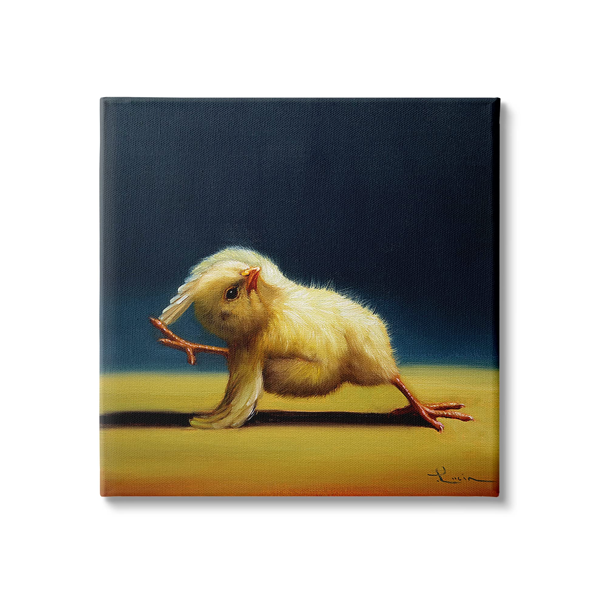 Stupell Industries Yoga Chicks Side Angle Pose Funny Animal Painting, Design by Lucia Heffernan Canvas Wall Art, 30 x 30, Yellow