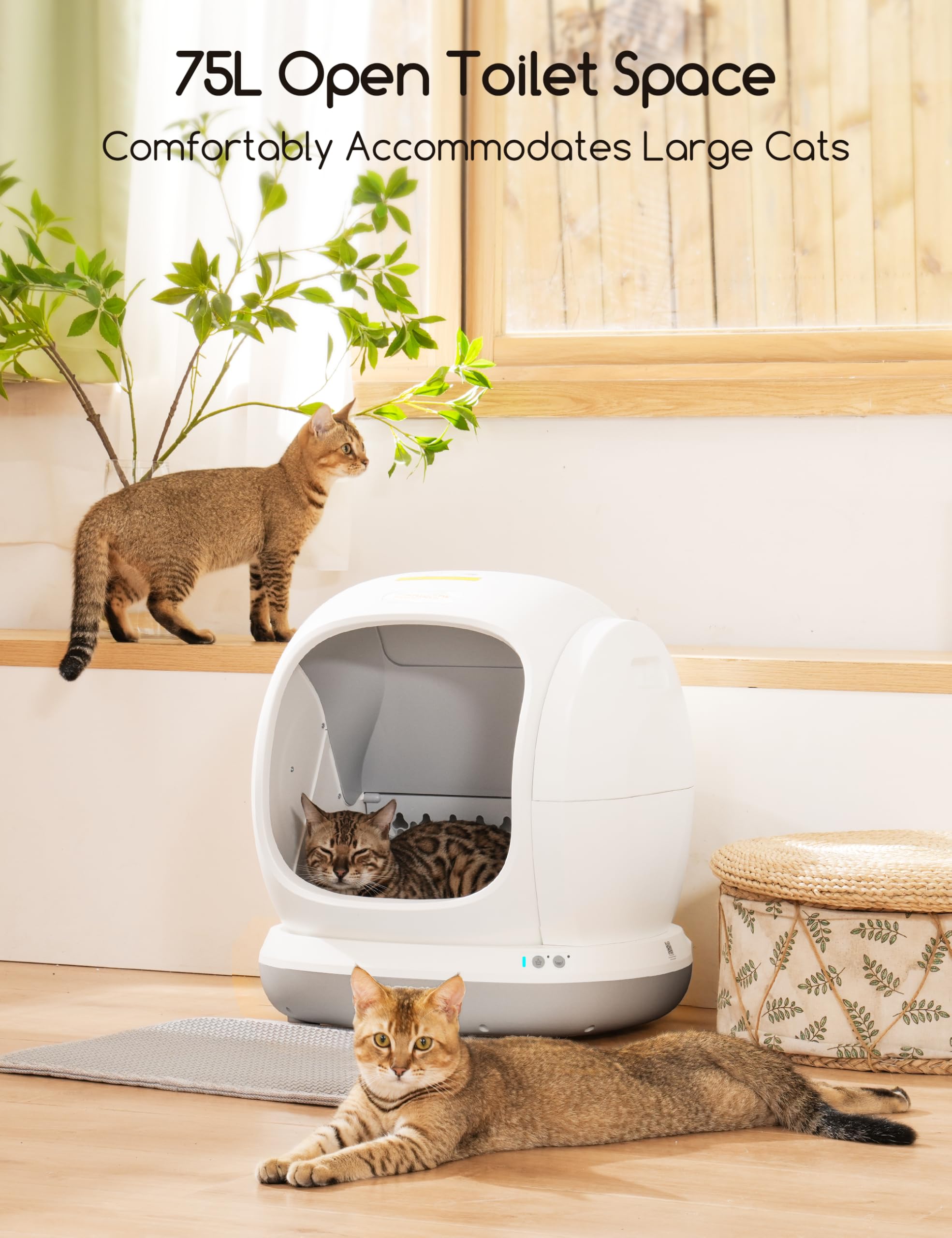 Automatic Litter Box