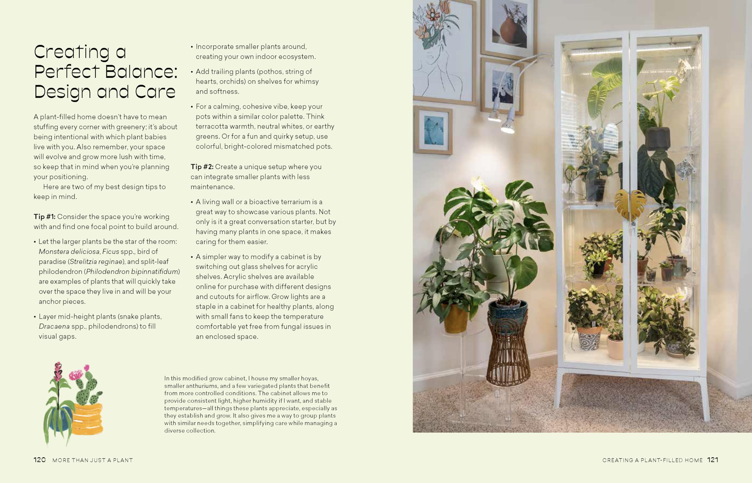 More Than Just a Plant: How to Care for Your Plants as They Care for You
