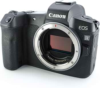 【10/11まで出品】Canon EOS Rミラーレスカメラ 本体バッテリー3個 Canon EOS R ボディ美品 ミラーレス一眼バッテリー3個