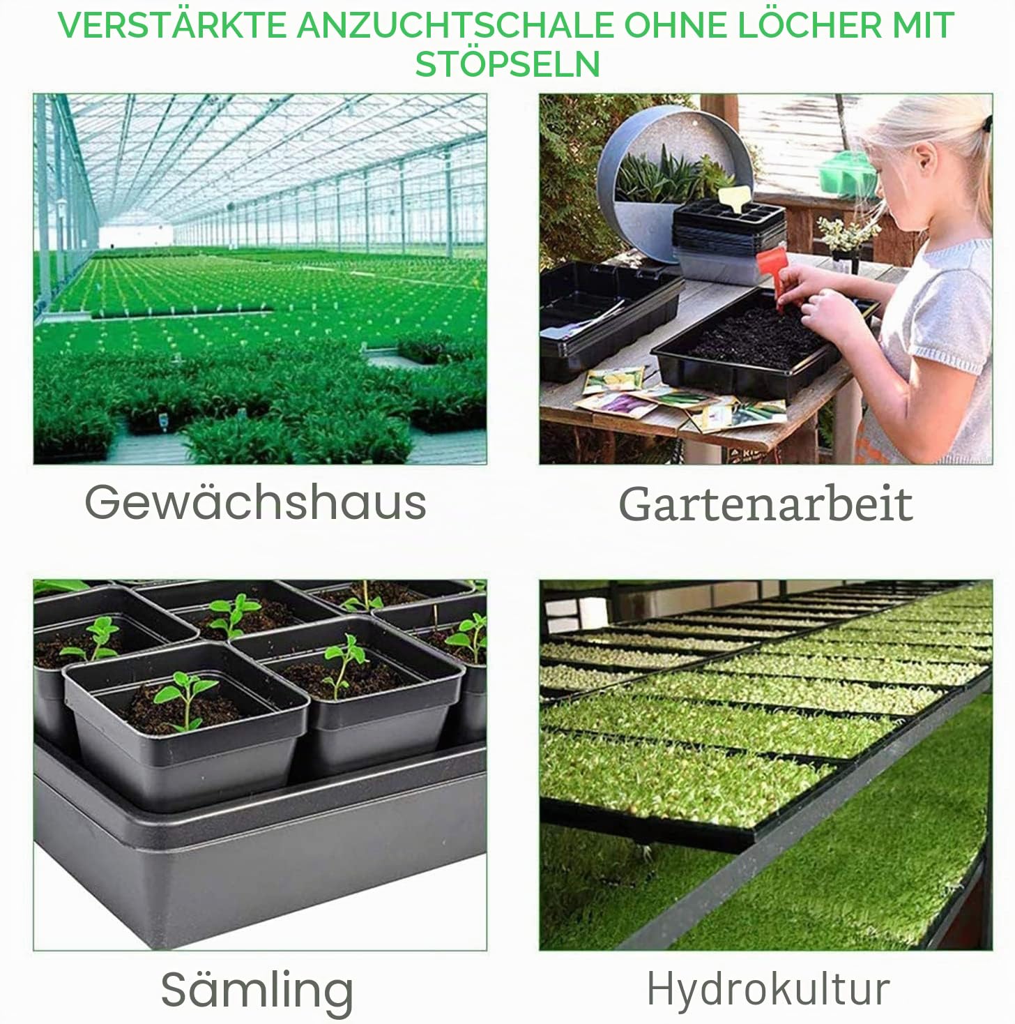 10 Stück Anzuchtschalen ohne Abflusslöcher 54 x 28 cm Perfekte Gartensamen-Anzuchtschalen für Setzlinge Gärtnern im Innenbereich, Mikrogrün Weizengras und mehr Erde oder Hydrokultur