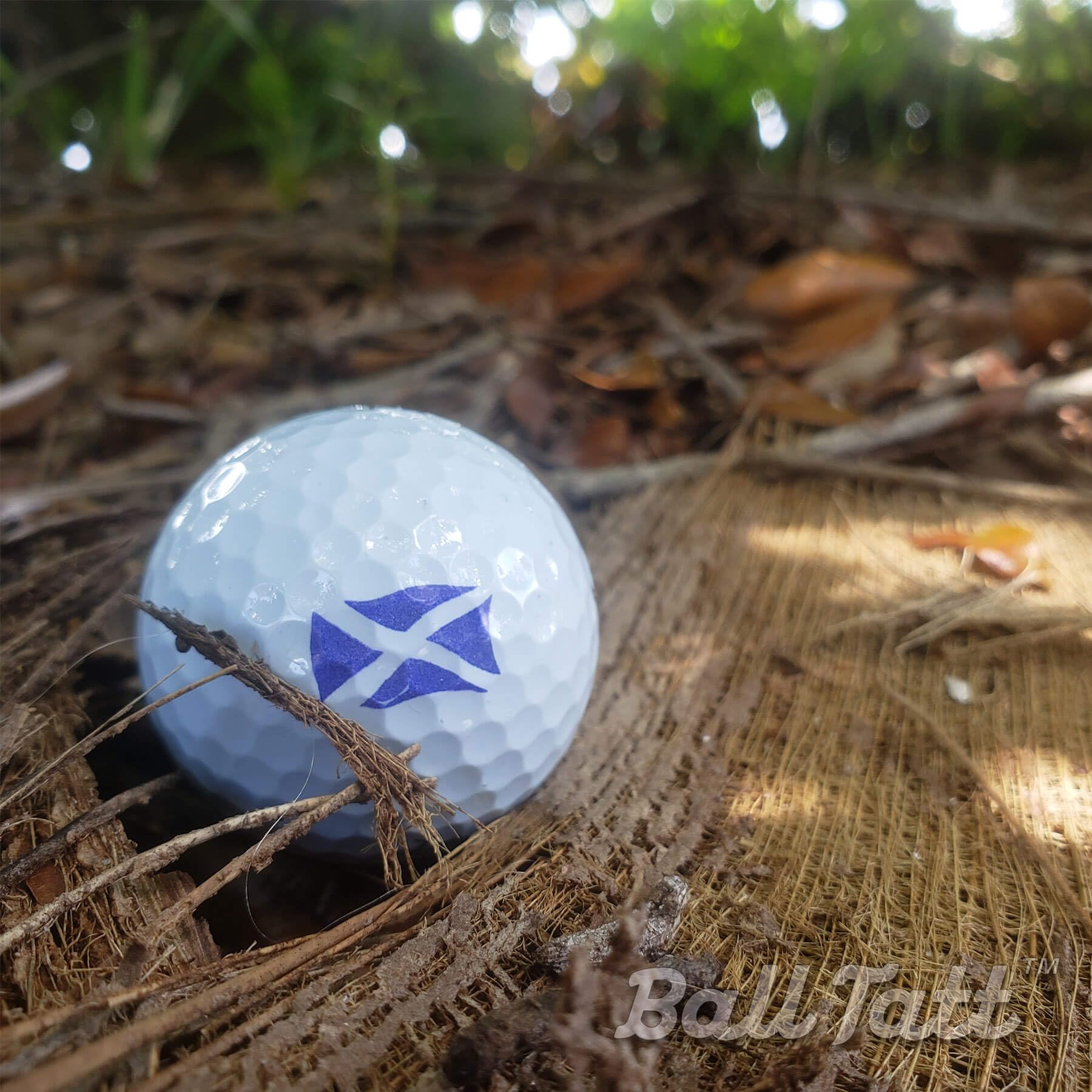 Tampon balle de golf (Écosse)