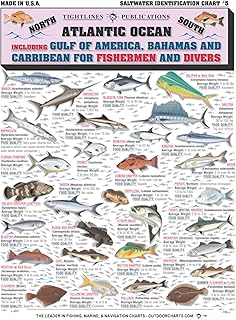 Saltwater Fish Identification Chart #5 - Waterproof Quick Reference Fishing Guide - 50+ Fish Species ID - (Florida, Atlantic, Gulf of Mexico, and Caribbean) - Great Gift for Beginners