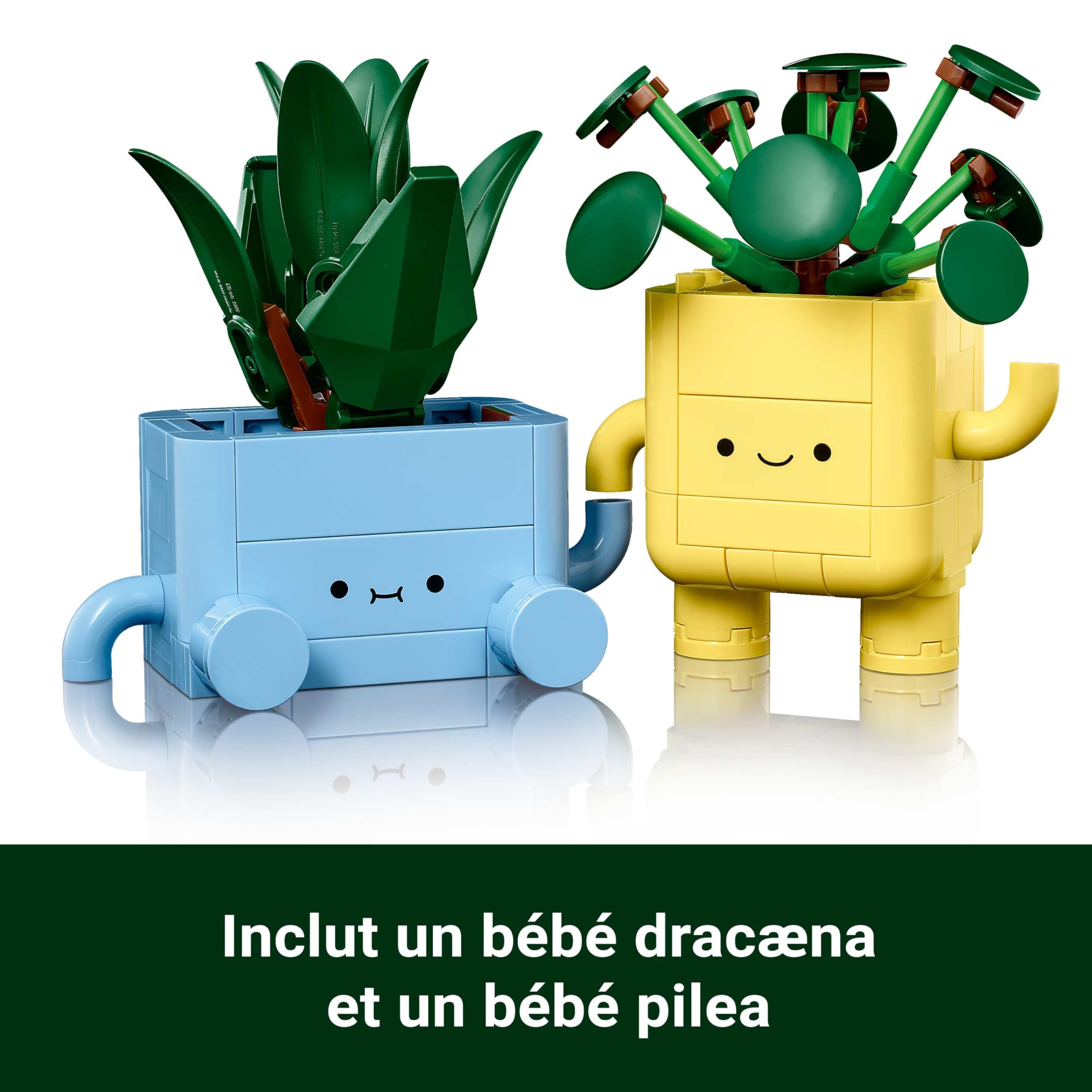 LEGO Botanicals Petites Plantes Souriantes - Jouet - Loisirs Créatifs - 2 Plantes Artificielles, 2 Pots de Fleurs Colorés & Visages Interchangeables - Cadeau Nature pour Fille dès 9 Ans & Ado 10349