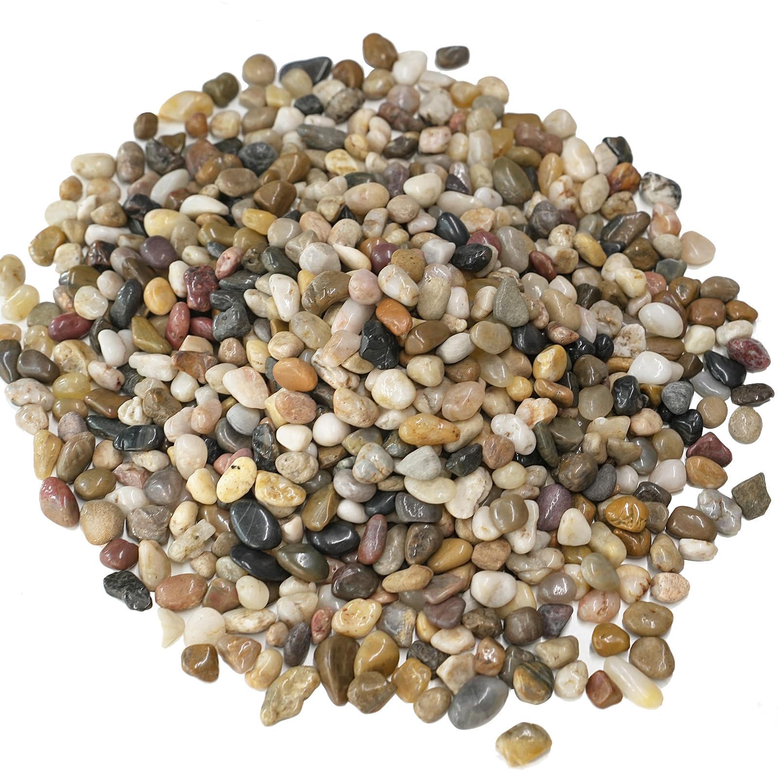 5 lbs Pebbles Indoor Plants