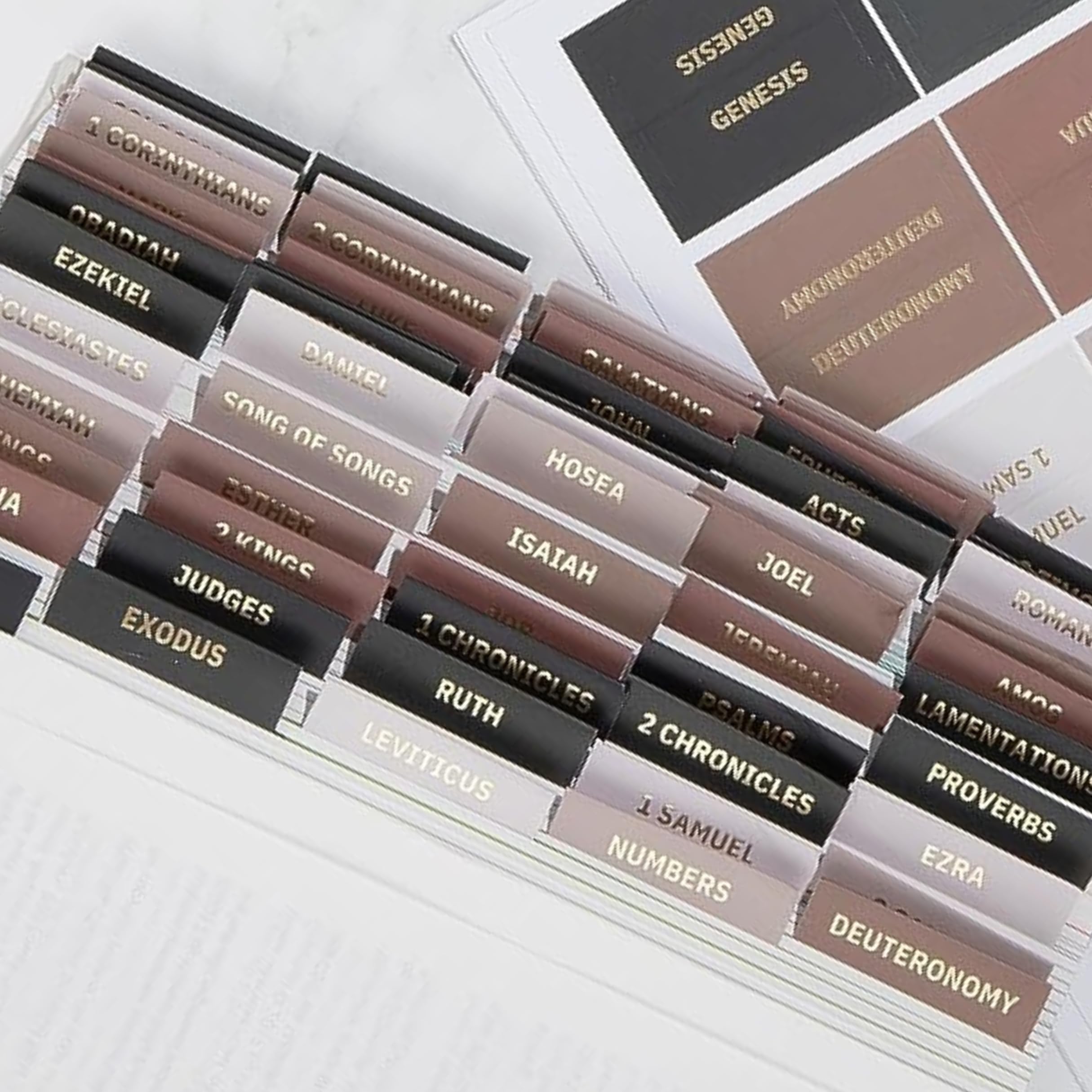 Decorative Bible Tabs for Women (96 Pieces) - Earth Tone Neutral Gold Foil Bible Tabs - Laminated Bible Labels Tabs – Remove & Replace Bible Index Tabs - Bible Study Supplies for Women (2)