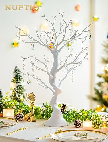Miniatura 5 de Nuptio Atrapasoles para colgar ventanas: 20 piezas de jarrón colgante de cristal, decoración de jardín, cuentas colgantes para bodas, fiestas,