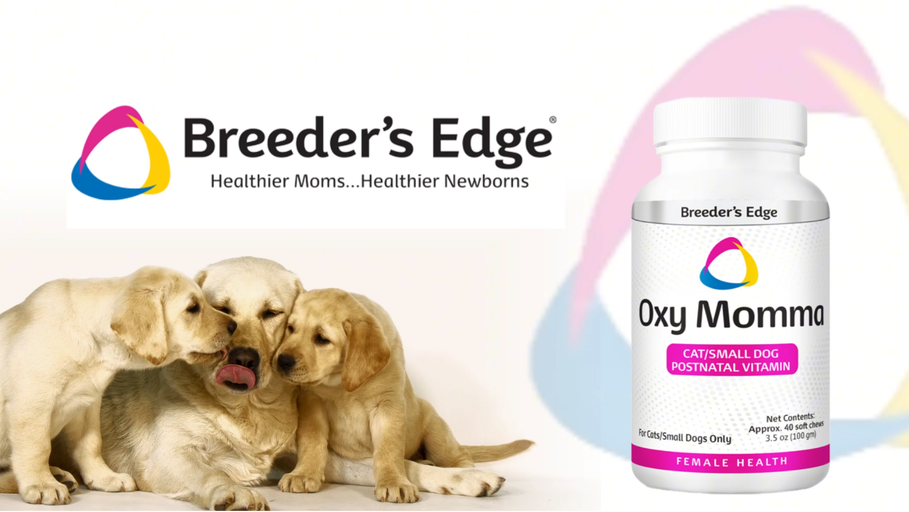 Amazon.com: Breeder's Edge Oxy Momma Soft Chews, Postnatal Vitamin