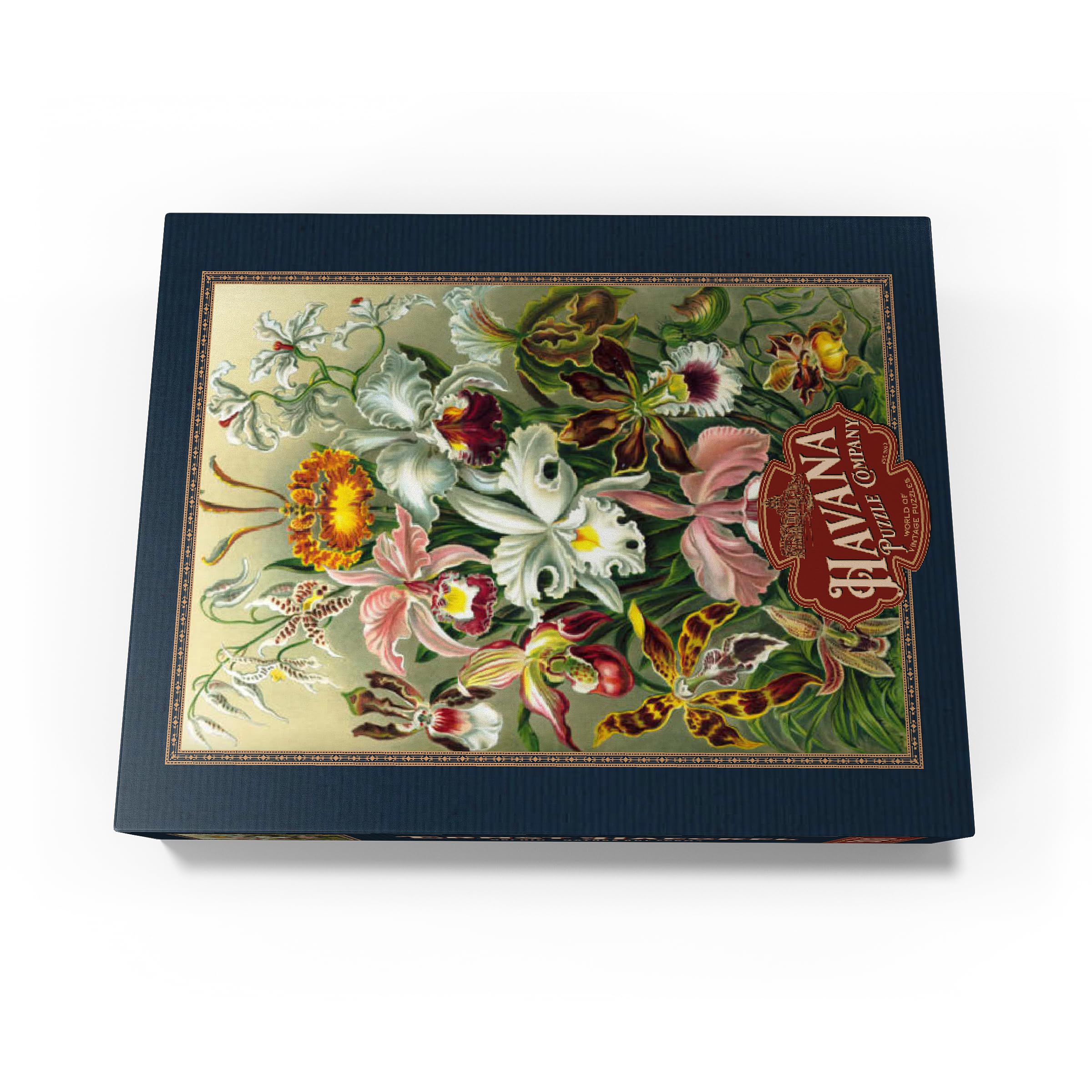Amazon.com: MyPuzzle Orchid - Nature Art Forms, Vintage Art Poster