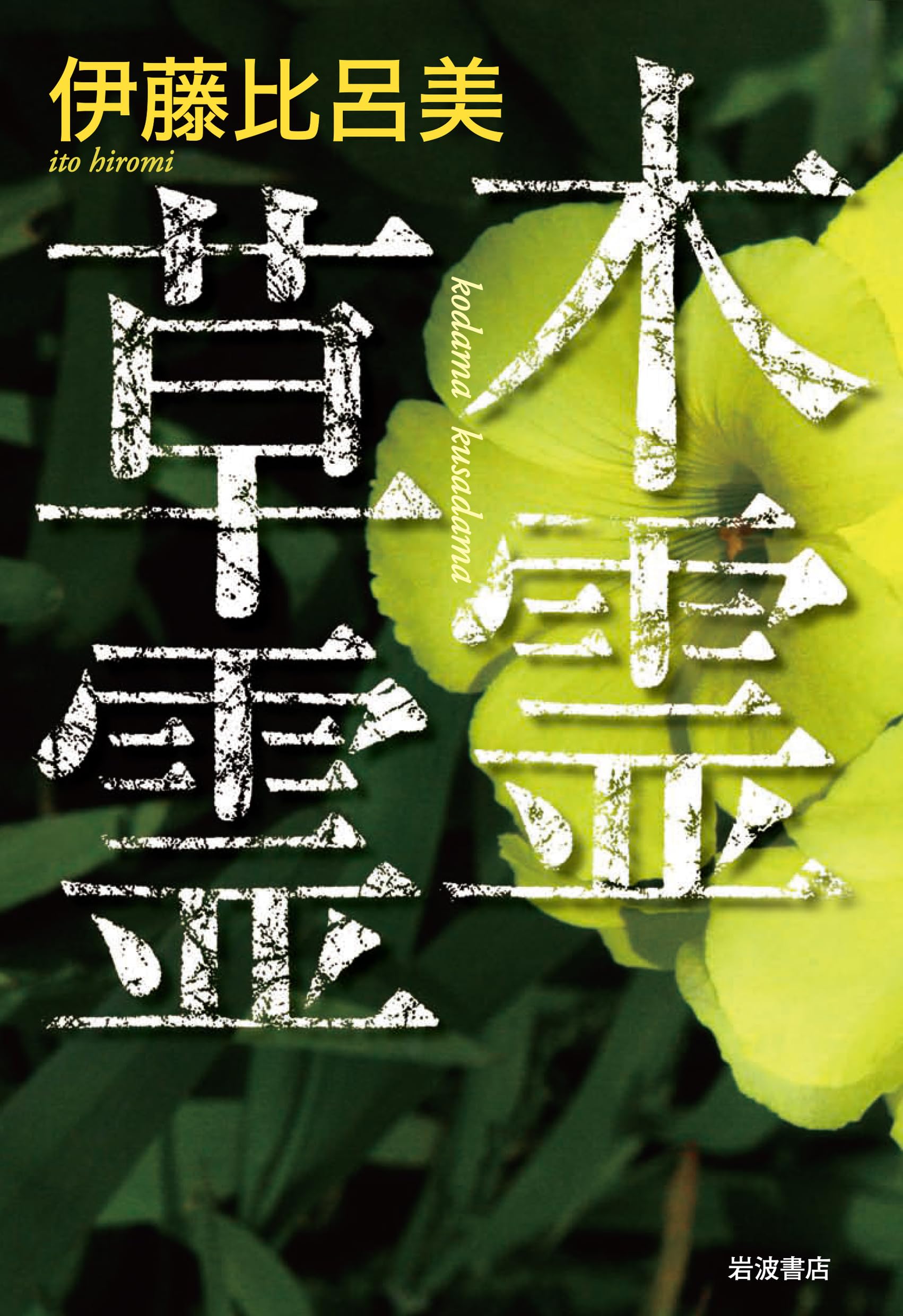 伊藤比呂美 本 木霊草霊 | 伊藤 比呂美 |本 | 通販 | Amazon
