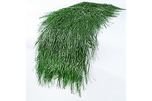 XLX TURF Tropical Table Runner: Transform Your Space into a Natural Paradise