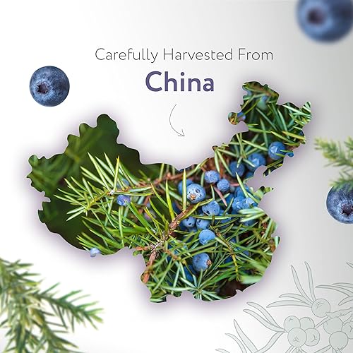 Miniatura 3 de HBNO California - Aceite esencial de bayas de enebro embotellado, 1 onza líquida, tamaño de viaje, aceite de bayas de enebro natural, perfecto para