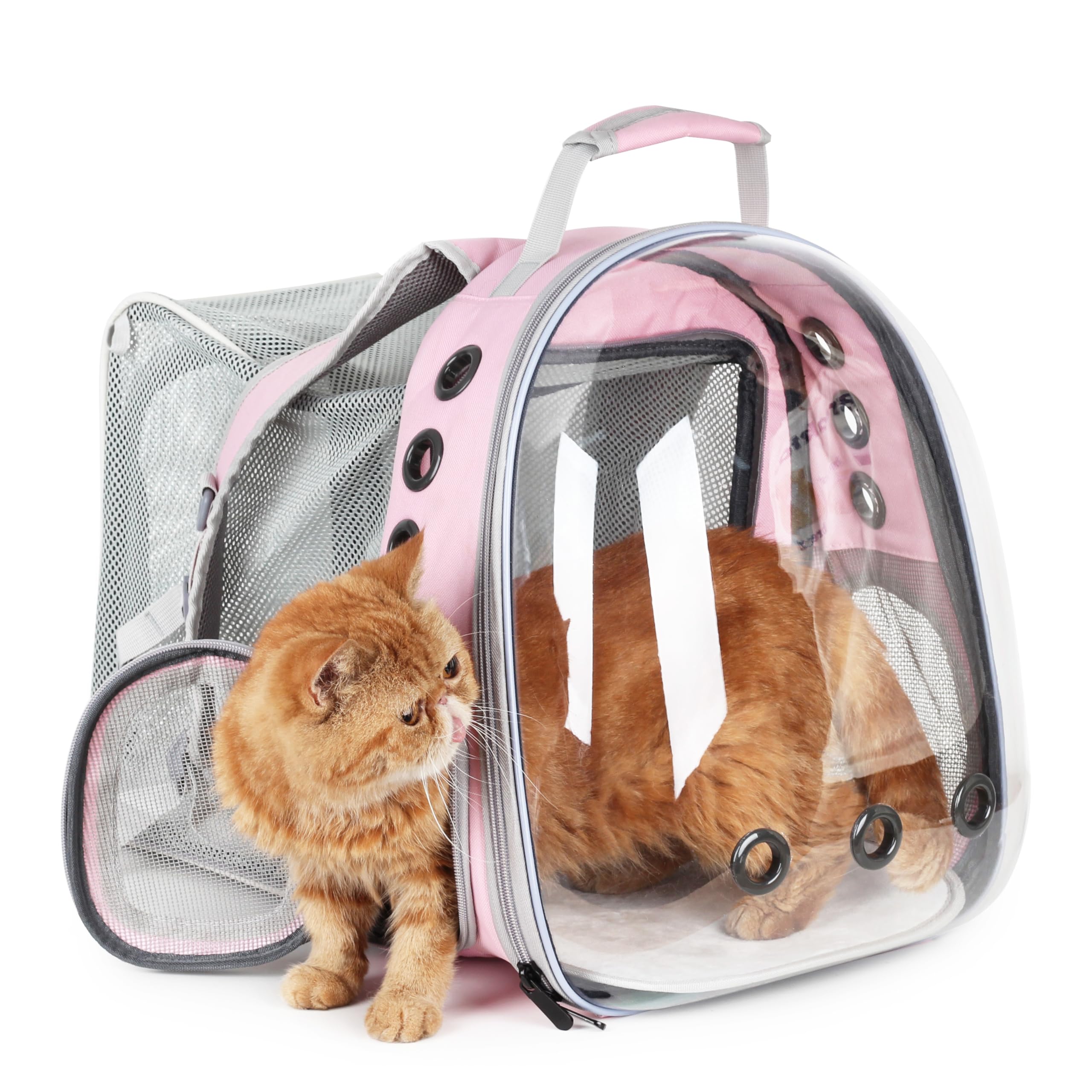 Amazon.com : Lollimeow Cat Carrier Backpack, Bubble