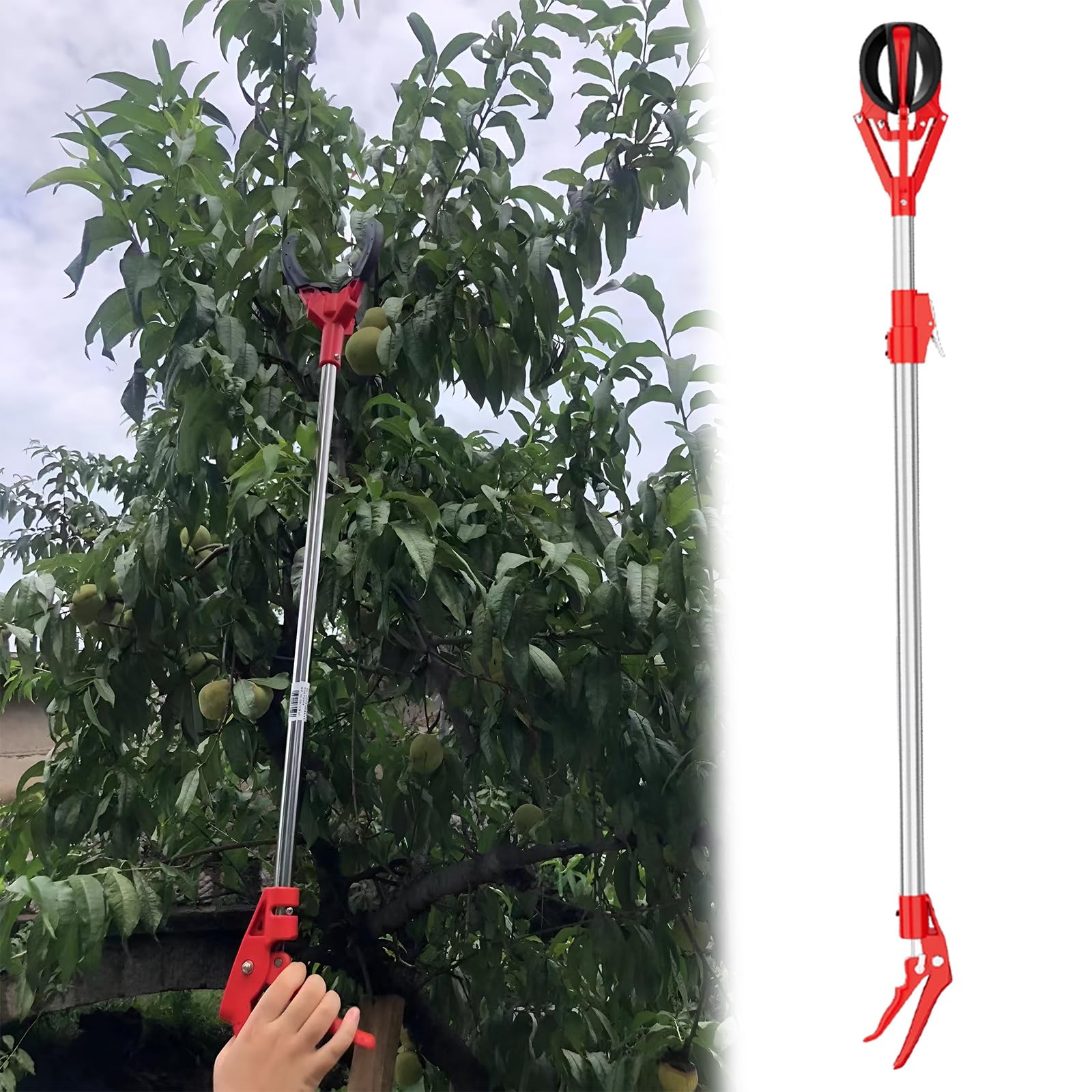 recoge fruta recogedor de frutas Cesta Para Recoger Frutas Y Recolector De Manzanas, Recoger Frutas Con Poste De Extensión 1 2 3 M, Recogedor De Frutas Para Aguacate/bellota/limón/pera/mango(39 2/5in(