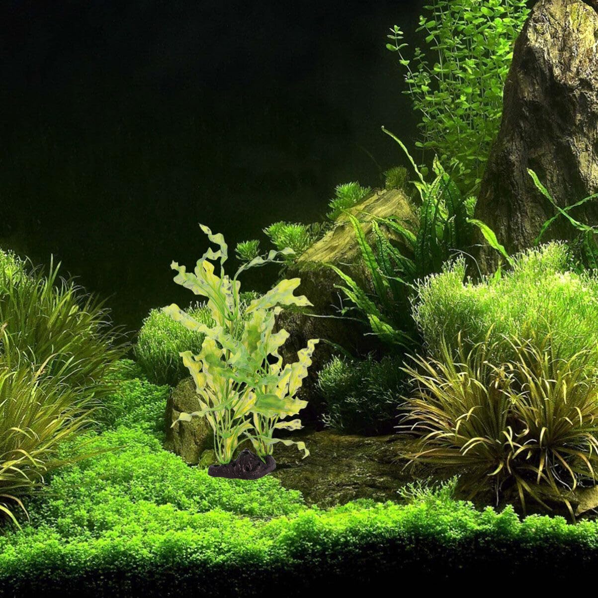 POPETPOP Aquariumpflanzen – Aquarium-Pflanze, Aquarium-Dekoration, künstliche Kelp, Wasserpflanzen, Kunststoffpflanzen für Aquarium-Dekorationen