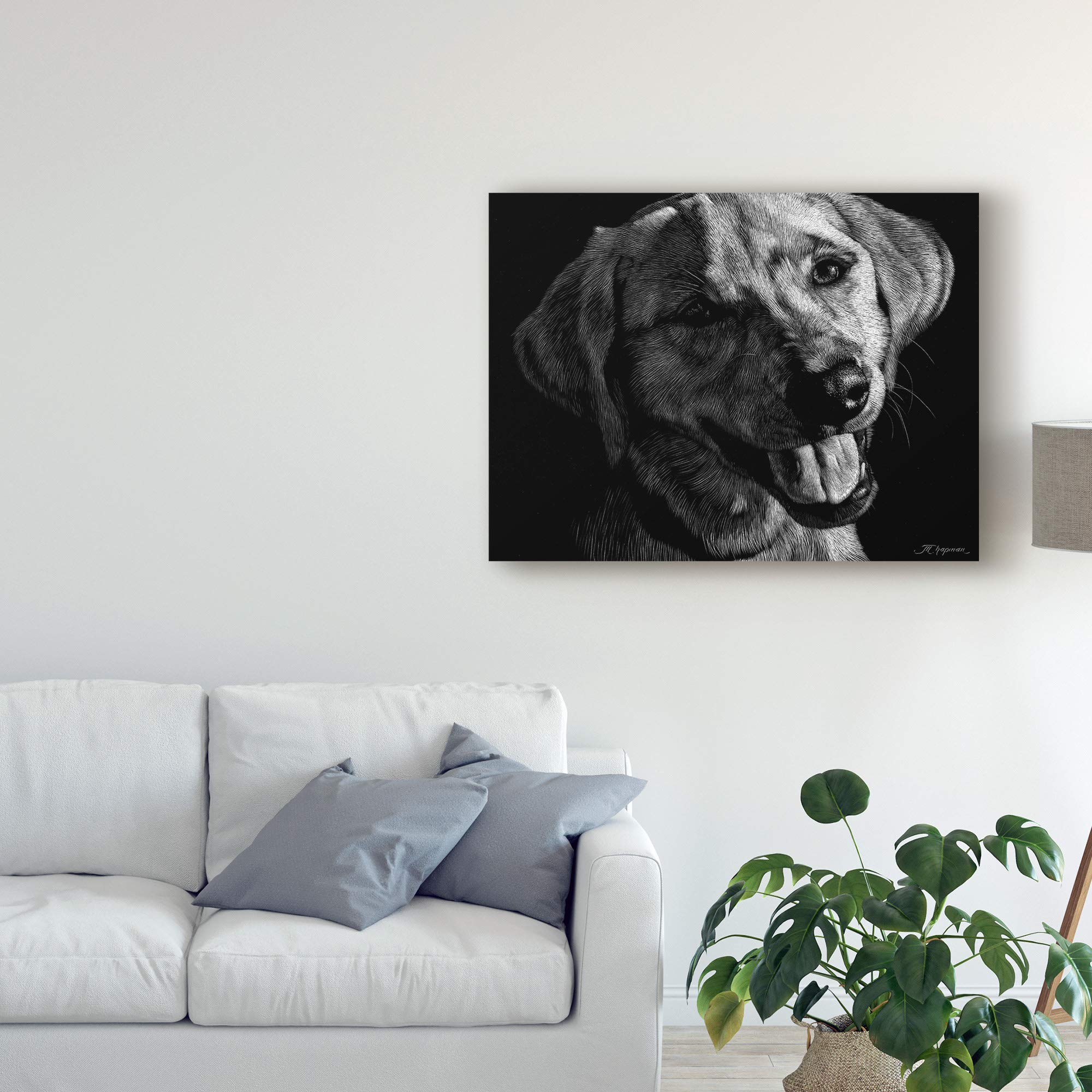 Amazon｜Trademark Fine Art 18x24インチ 犬のスクラッチボード