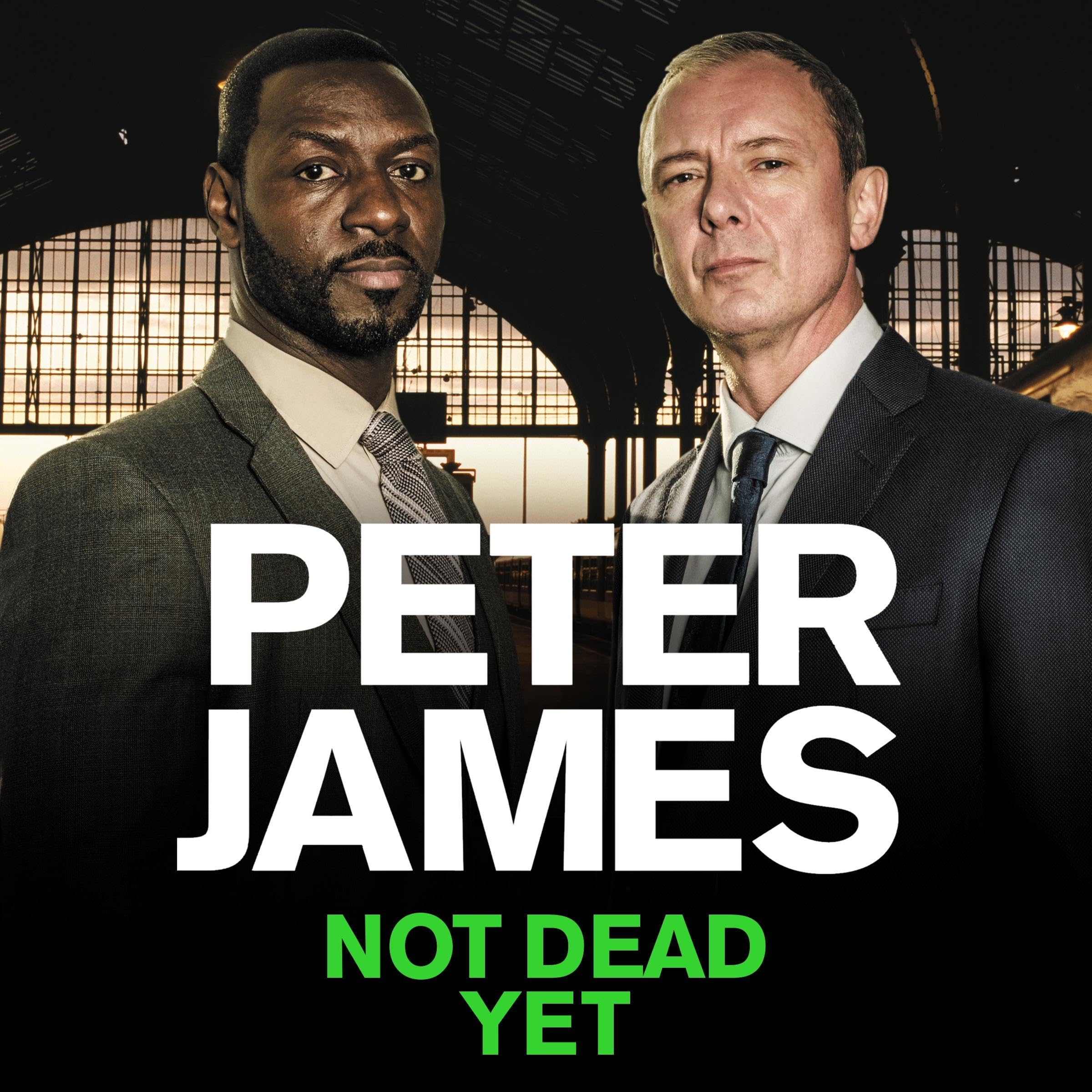 Cover art for Not Dead Yet