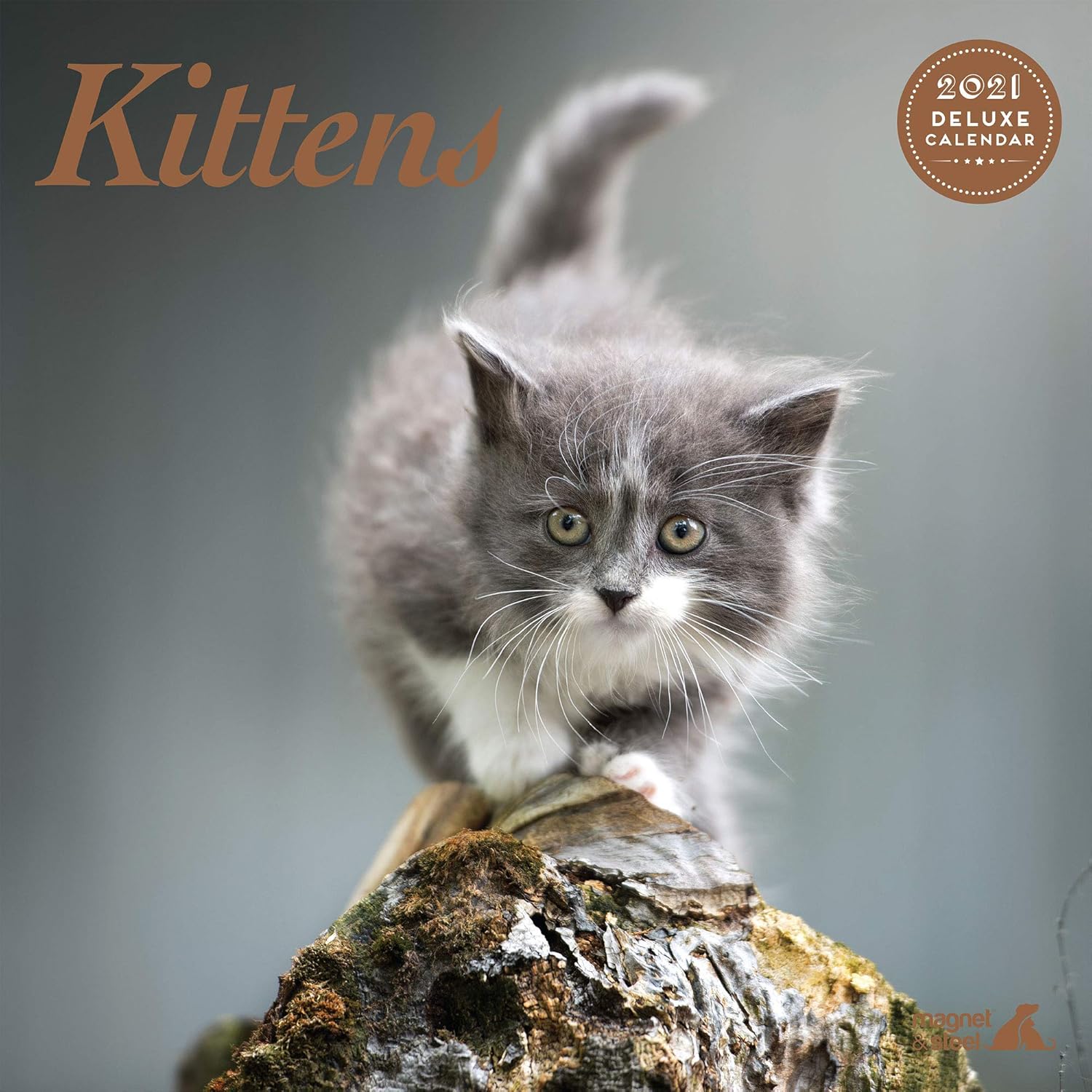 Kitten 2021 Deluxe Calendar, 9733 BigaMart