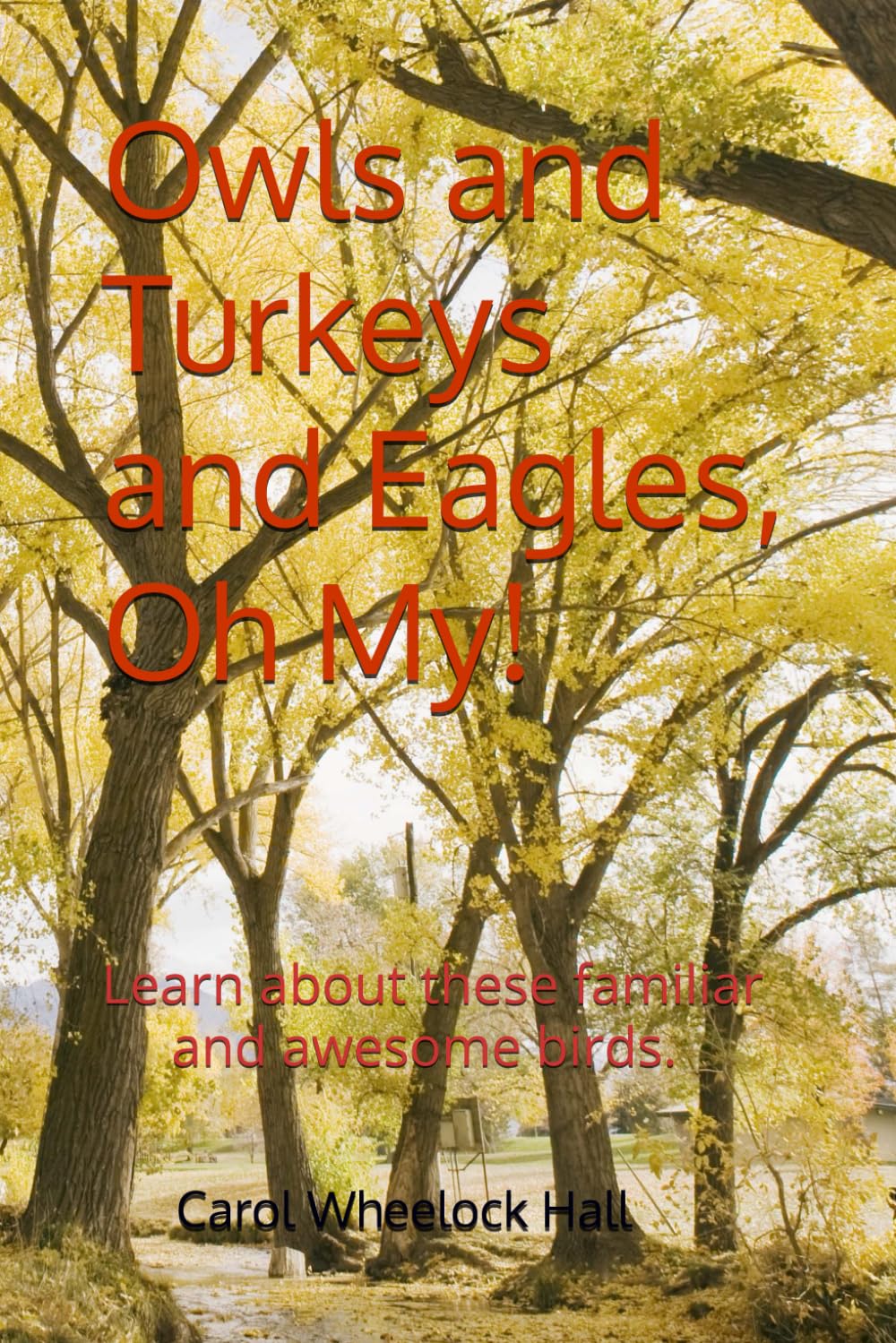 Owls and Turkeys and Eagles, Oh My!: Learn about these awesome birds