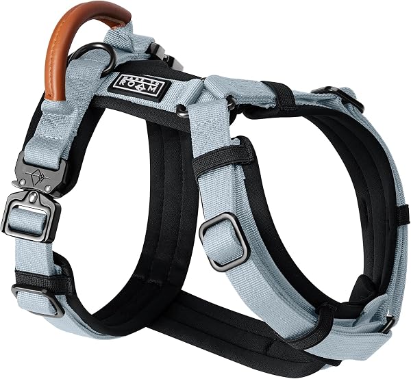 MADE TO ROAM Premium Explorer Harness - Y-Shaped Dog Harness with Adjustable Durable Nylon, Soft Padding, Metal Buckles
