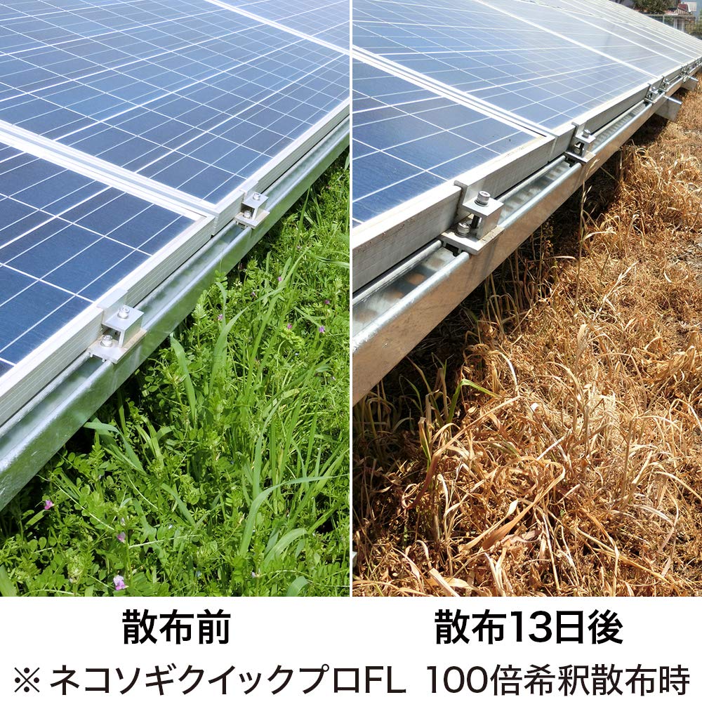 Amazon.co.jp: レインボー薬品 ネコソギクイックプロFL 5L : DIY・工具