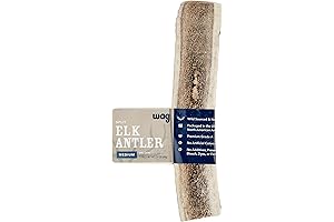 Wag Split Elk Antler: Naturally Shed Chew Treat for Dogs